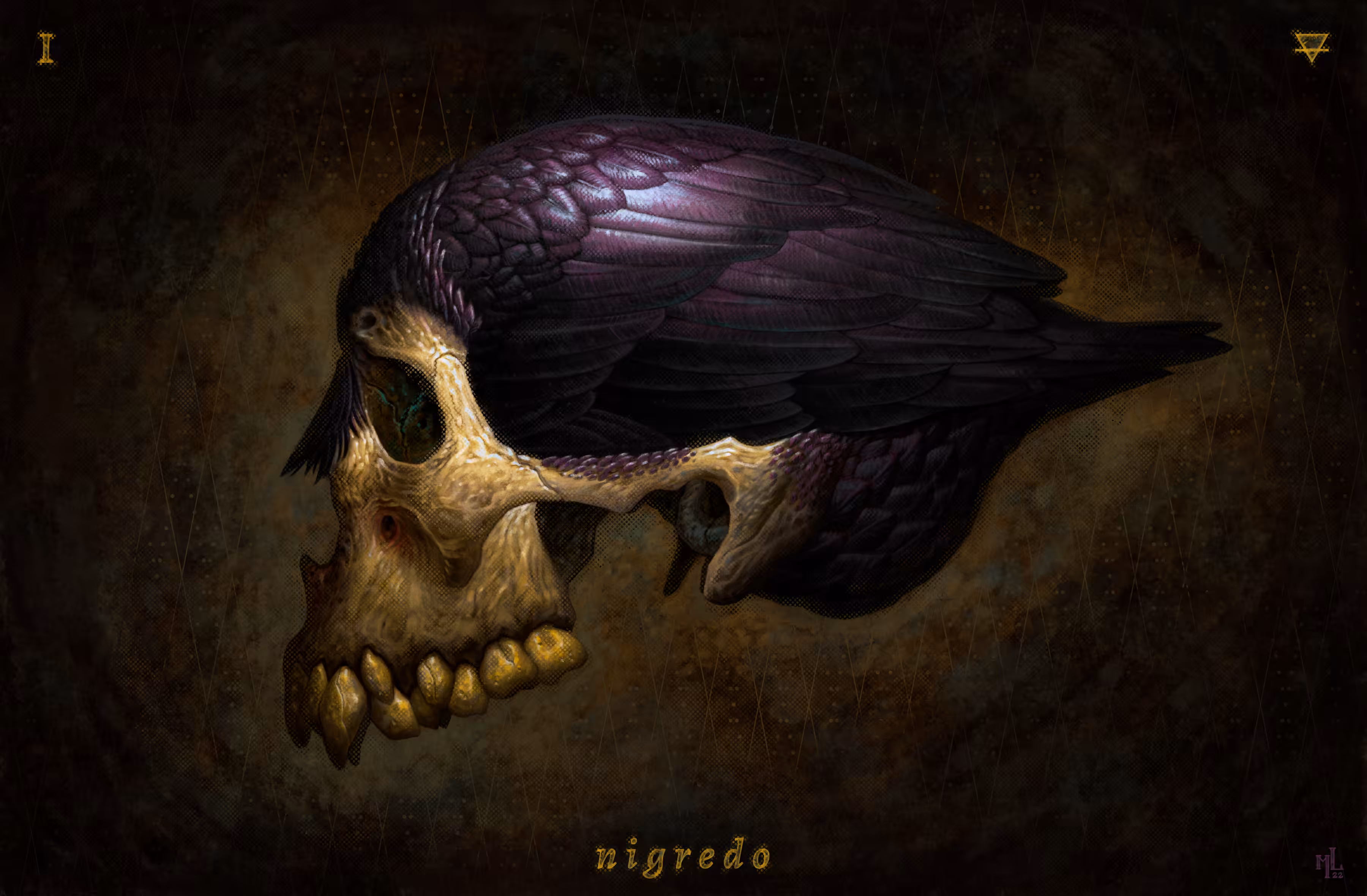 magnum opus i • nigredo