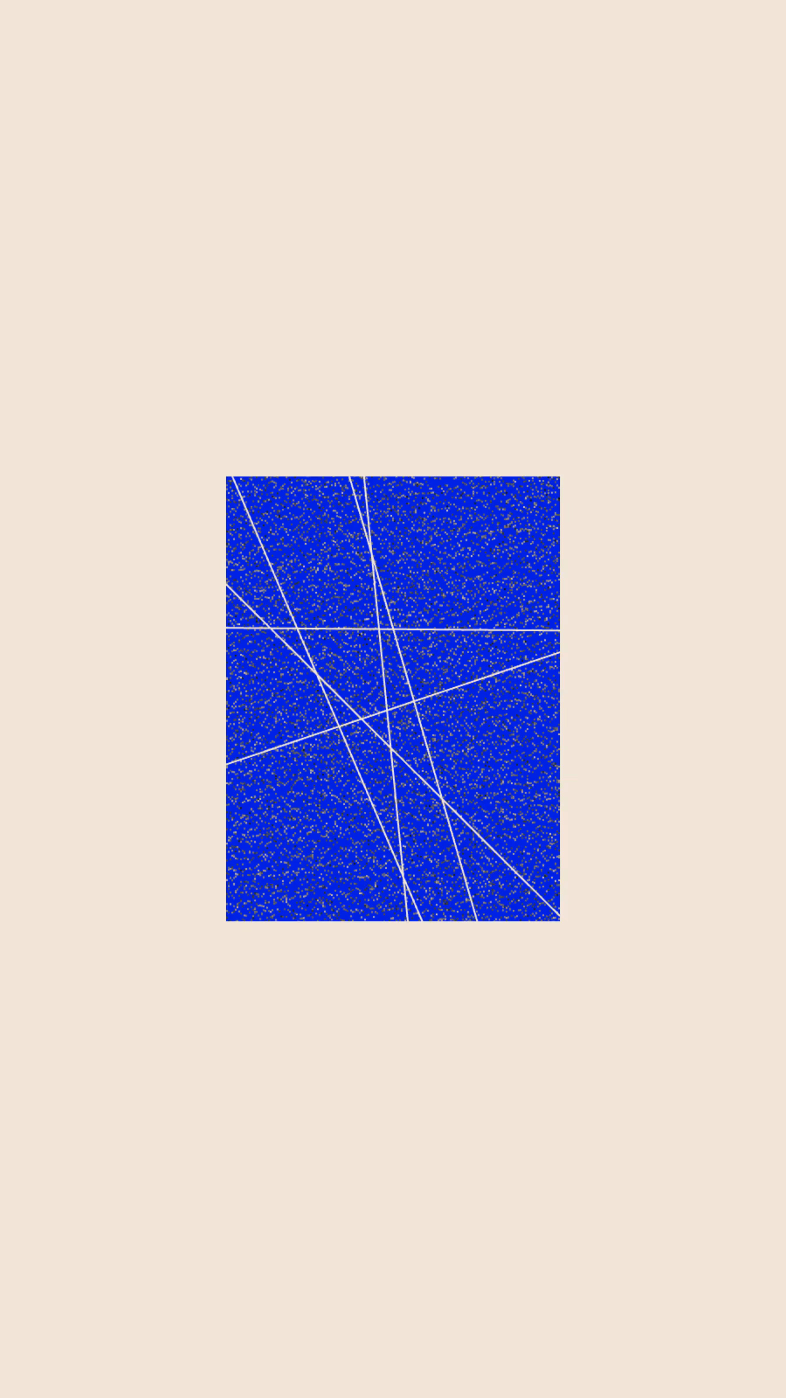 wt 008