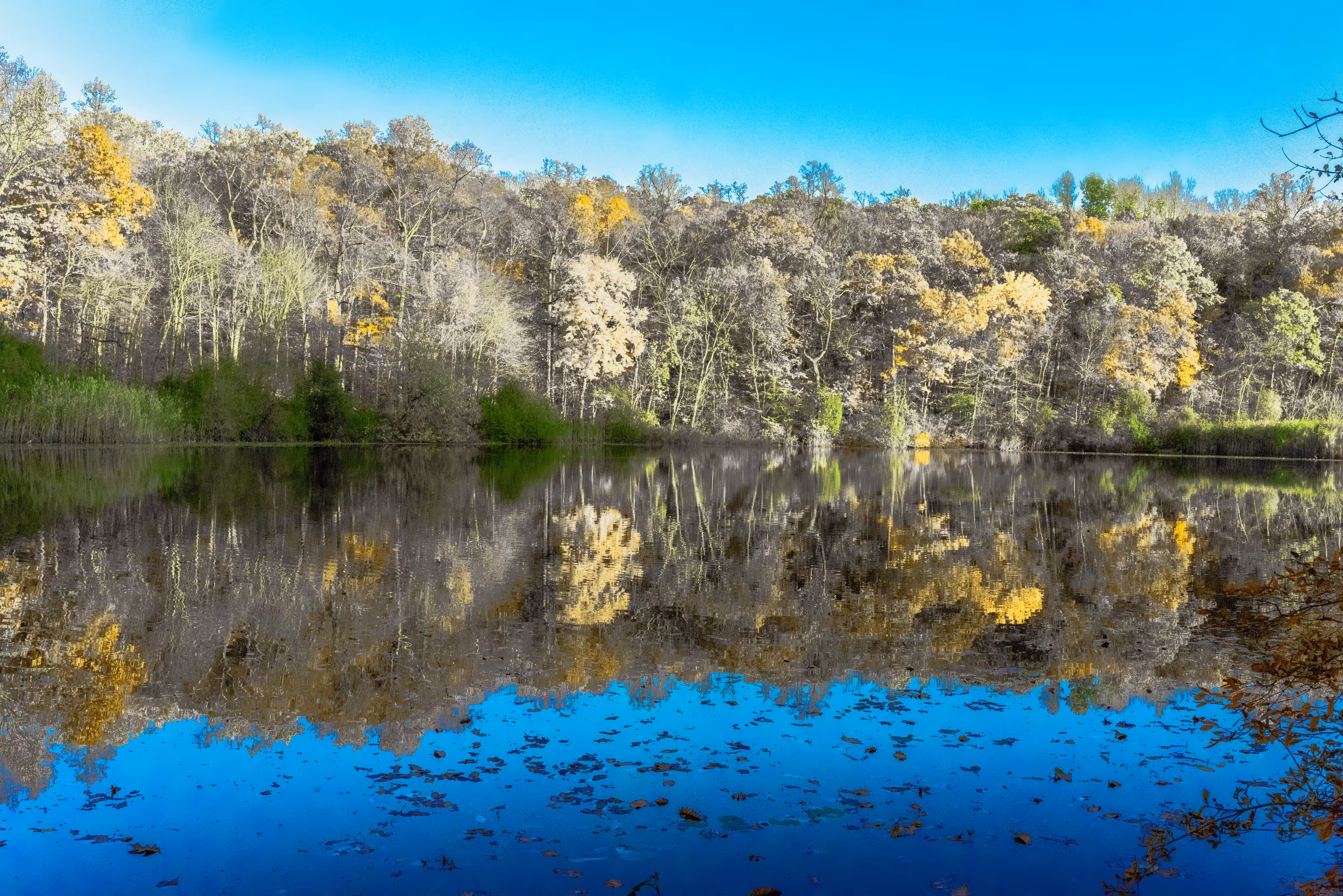 Colorful Reflections 7