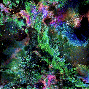 RXALITI #80 [✧♒︎↯⟁ r@x0m$ spir@l in @cryptvoid!]