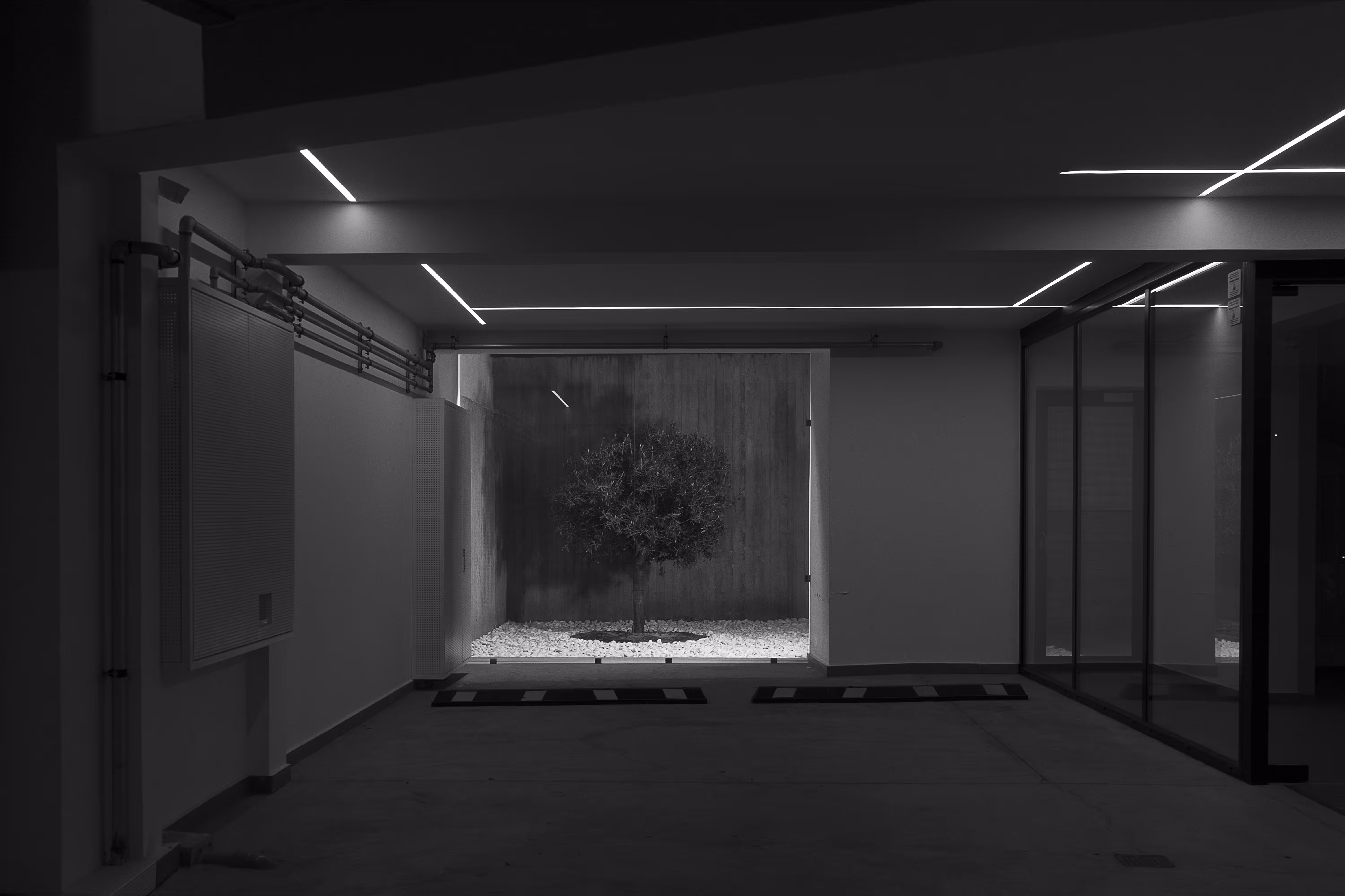 midnight in a perfect world #11