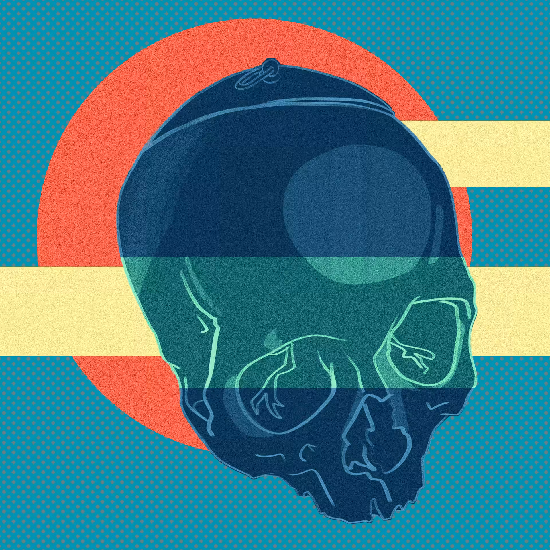 human skull #03