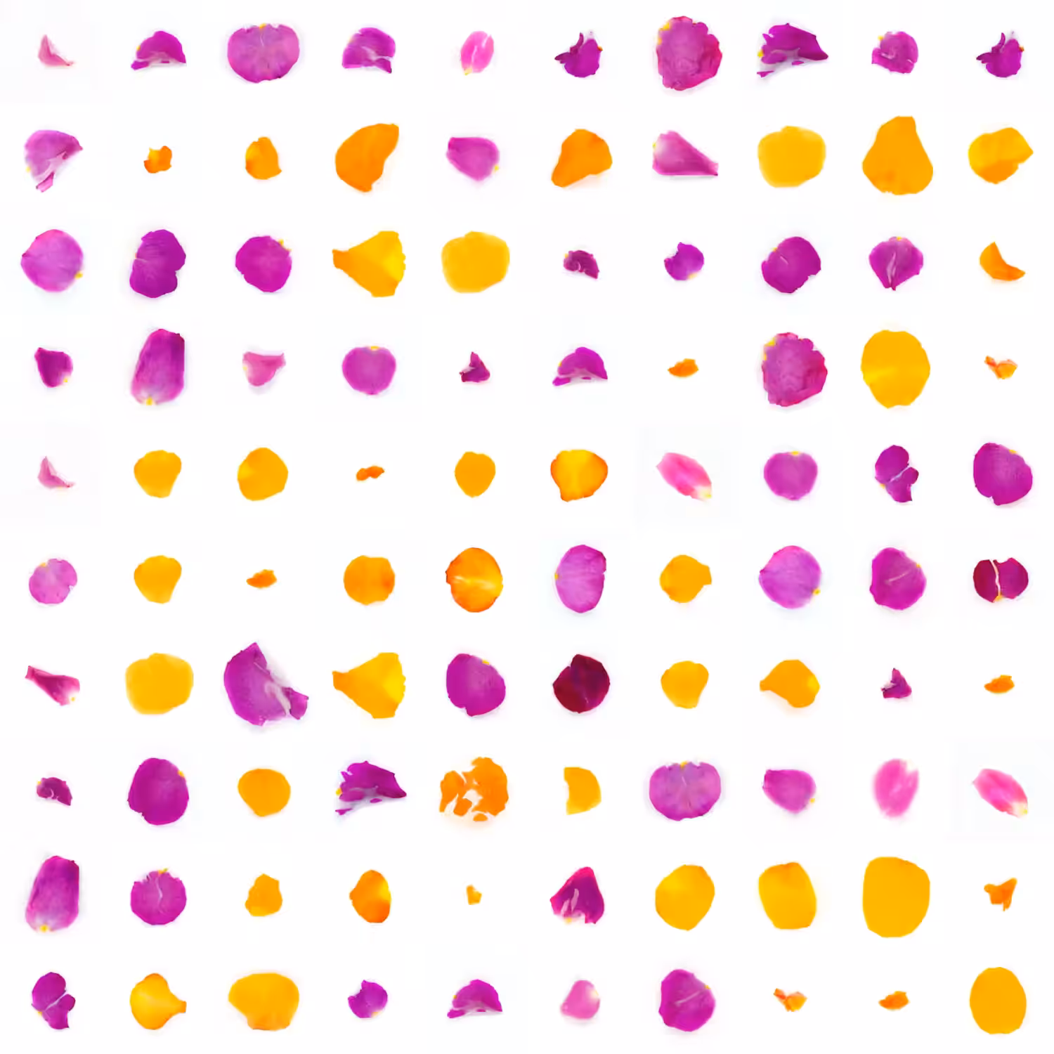 Infinite Petals 10x10#10184