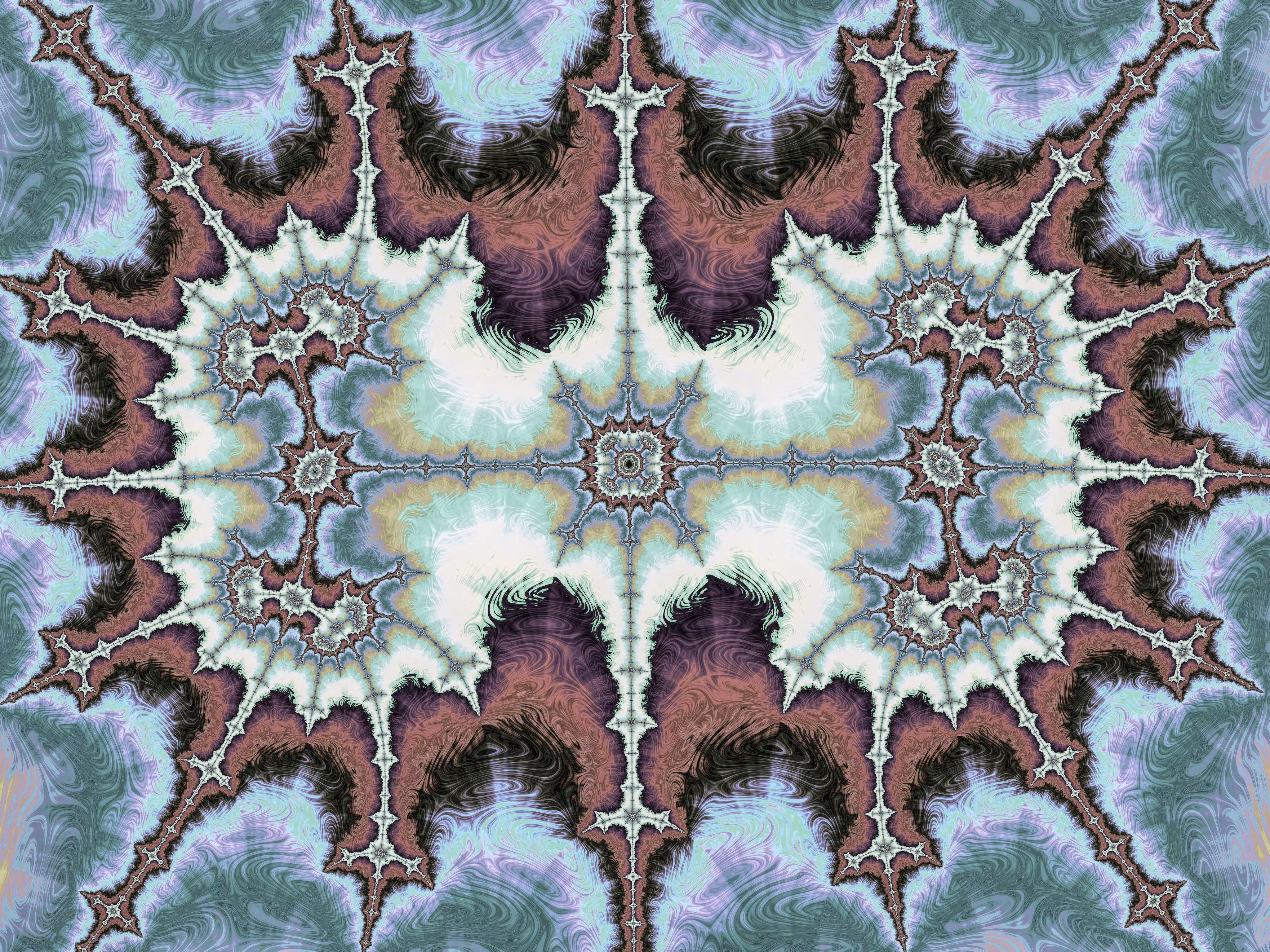 The Brain