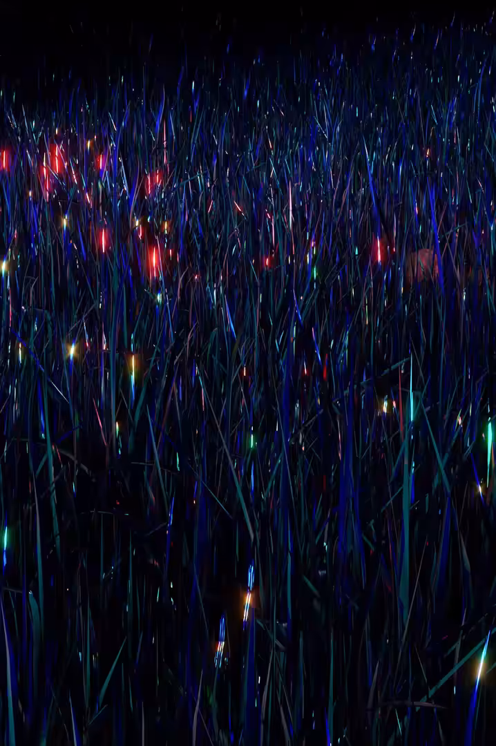 SYNTHETICS_III