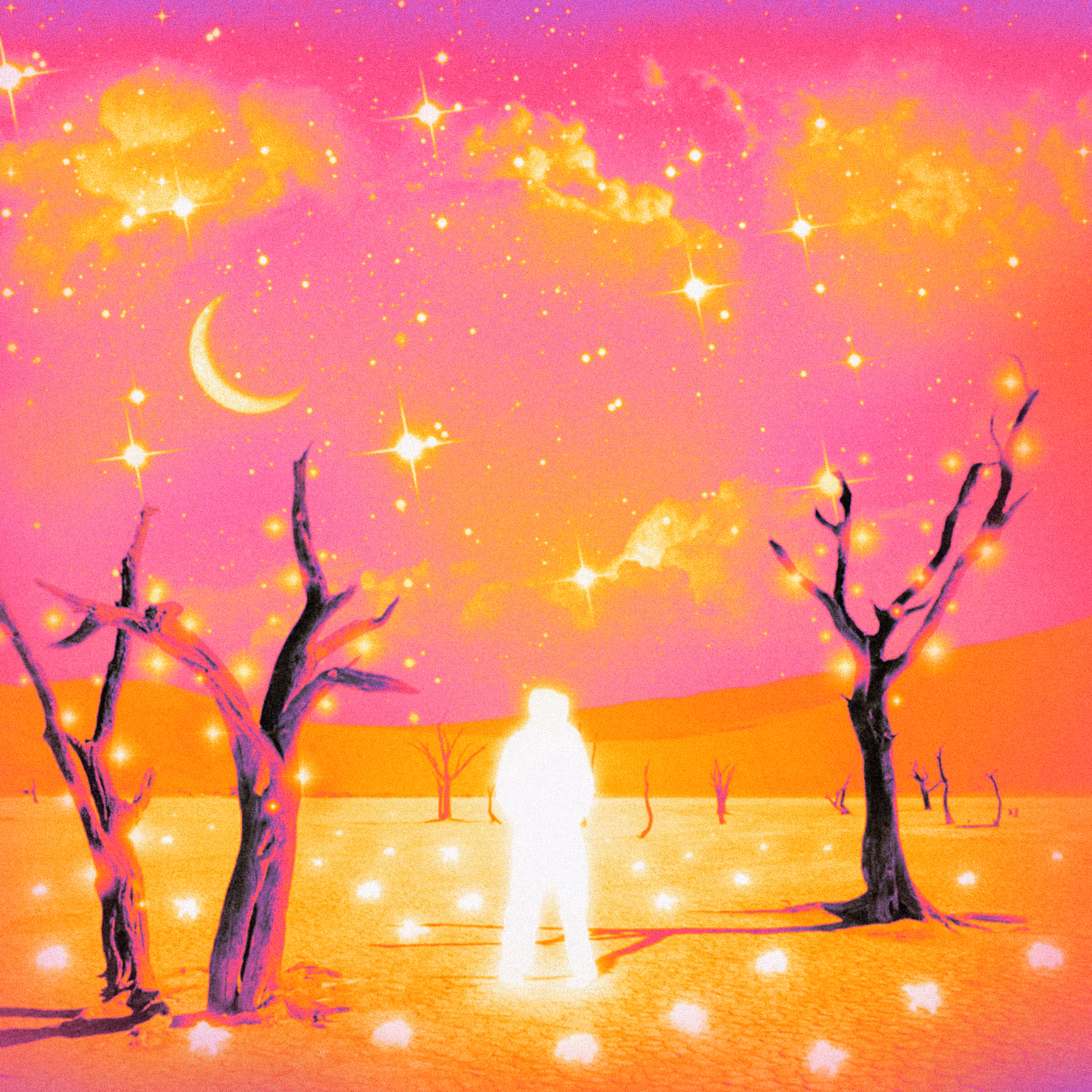 The Lonely Traveler