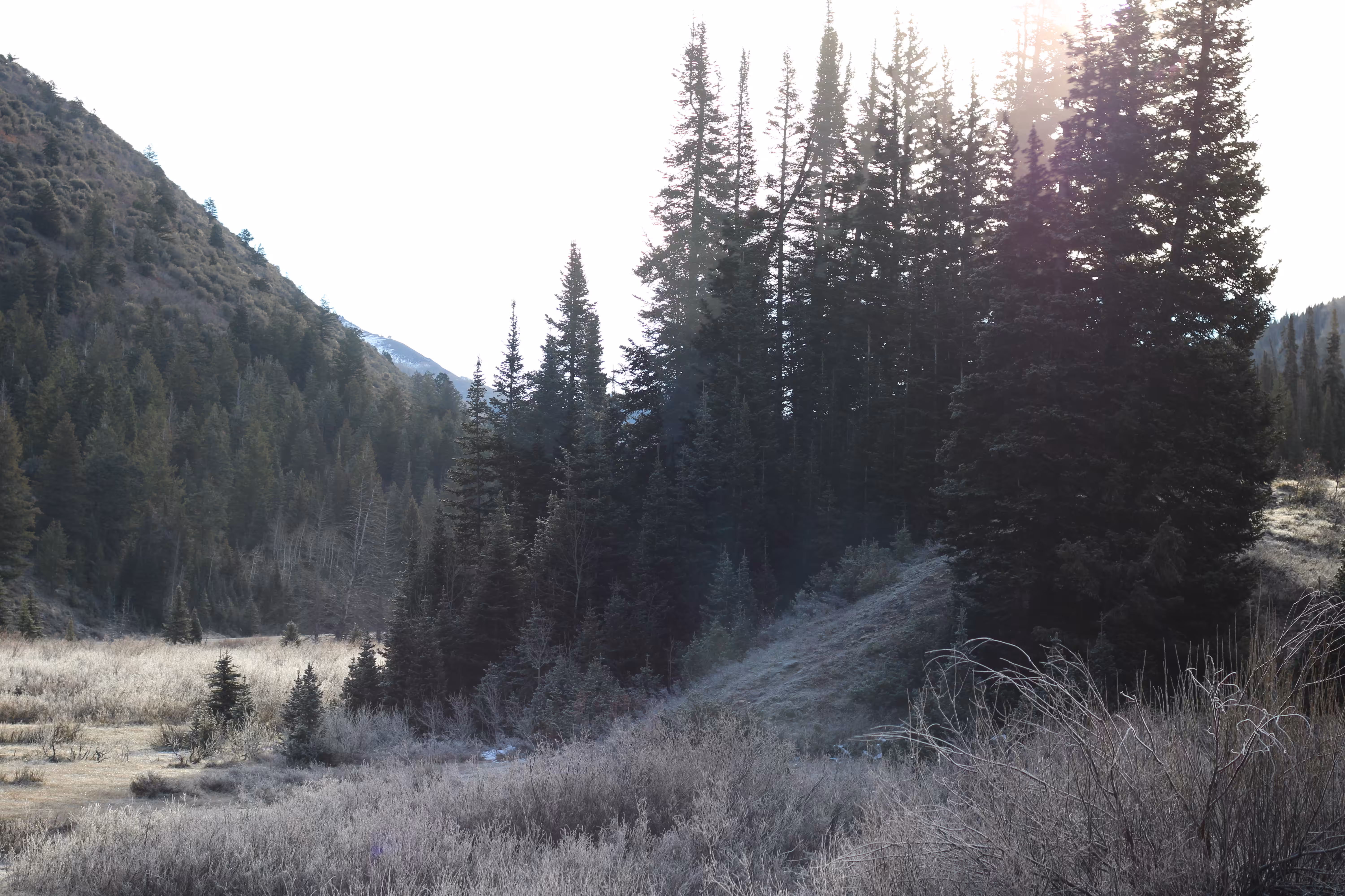 Lazy Nature Season 01 Episode 003 Thumbnail 08