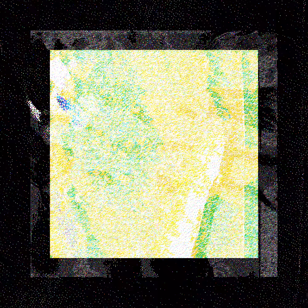 CHX-1 #230