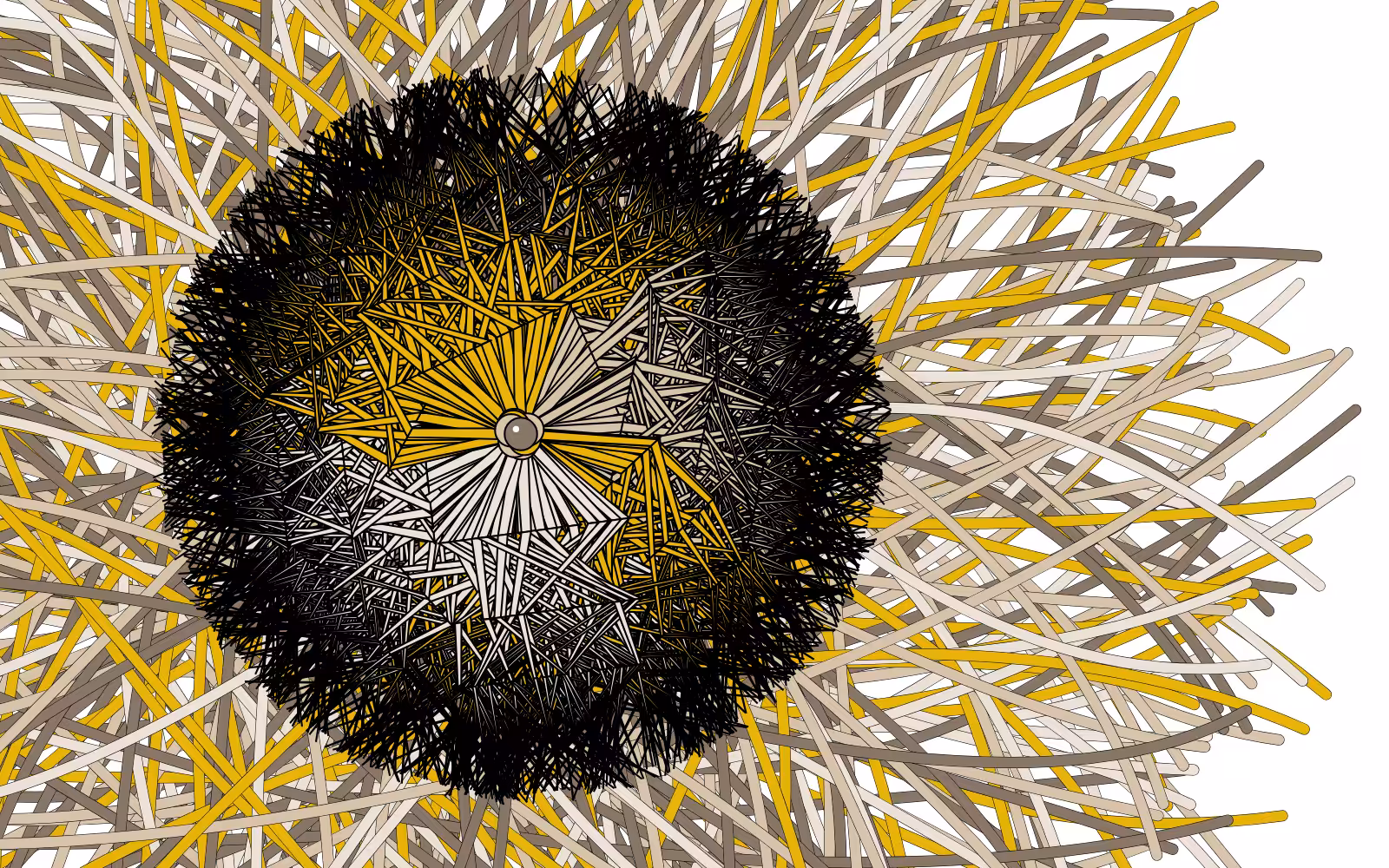 pattern 2.0 #5