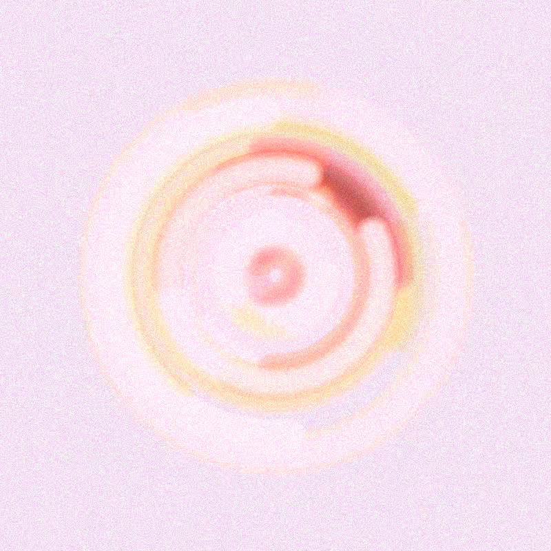 Wisp #698