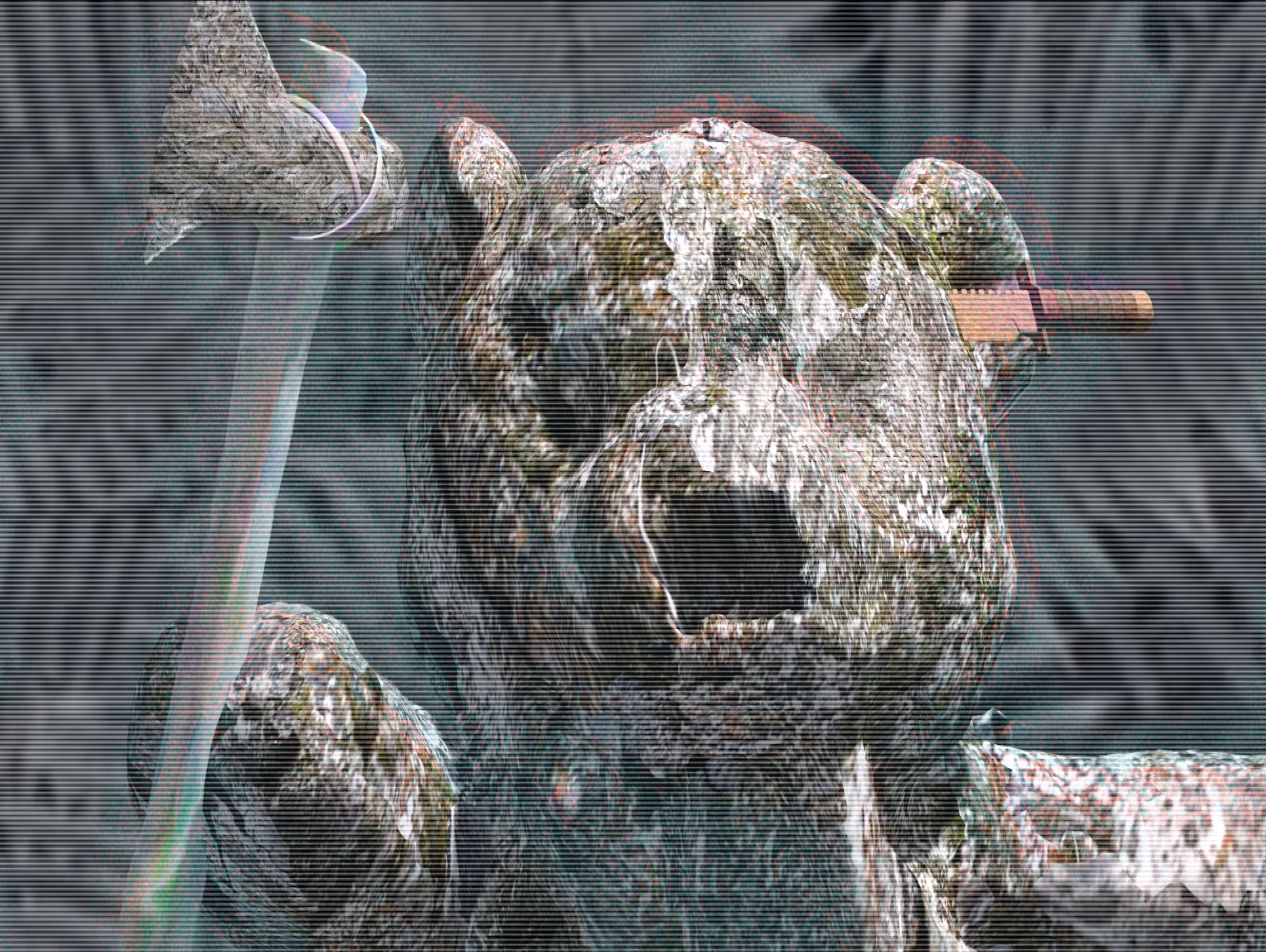 Zombie Decay #2 : Ted
