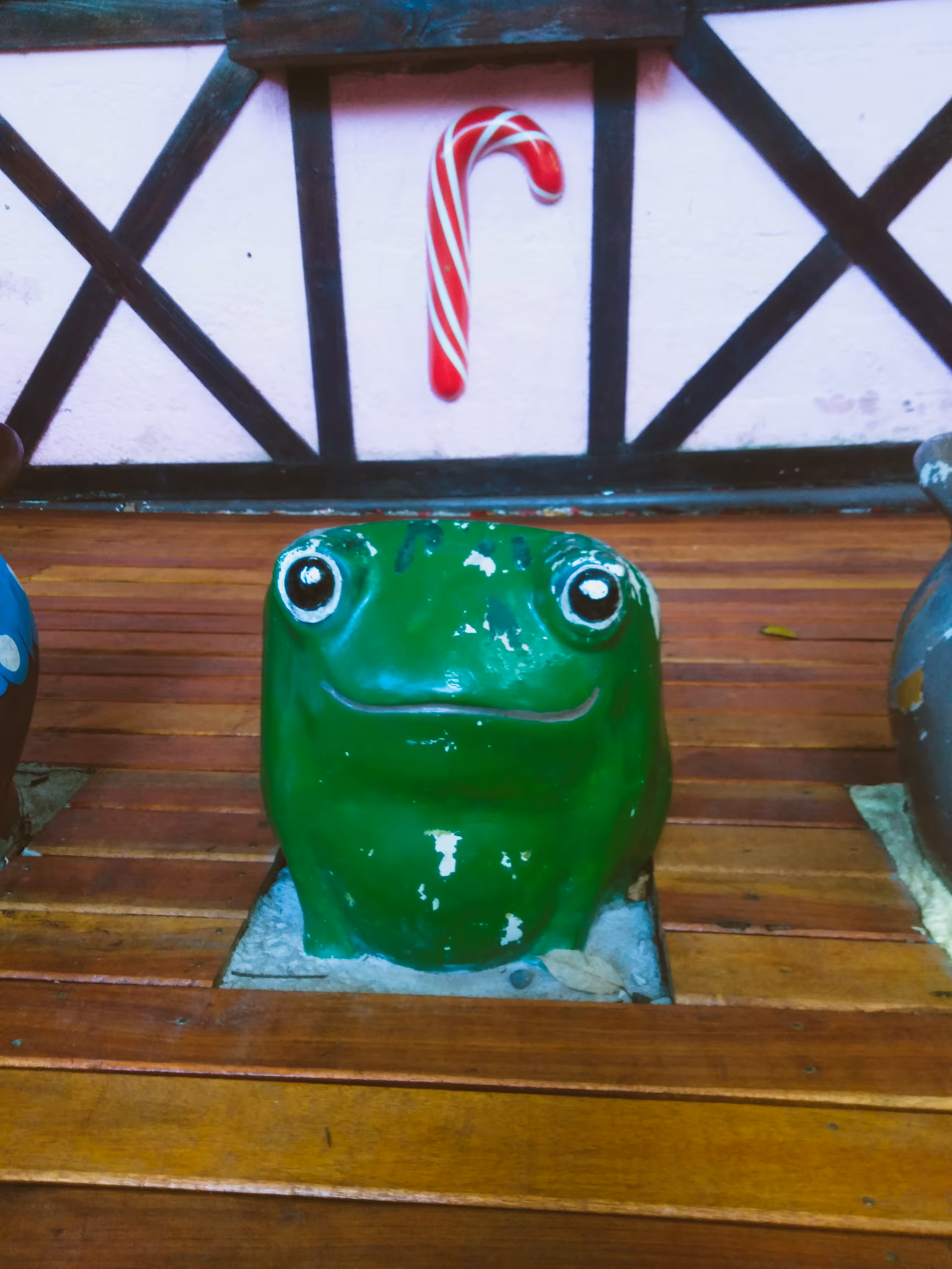 The strange case of the frog in front of the candy store
