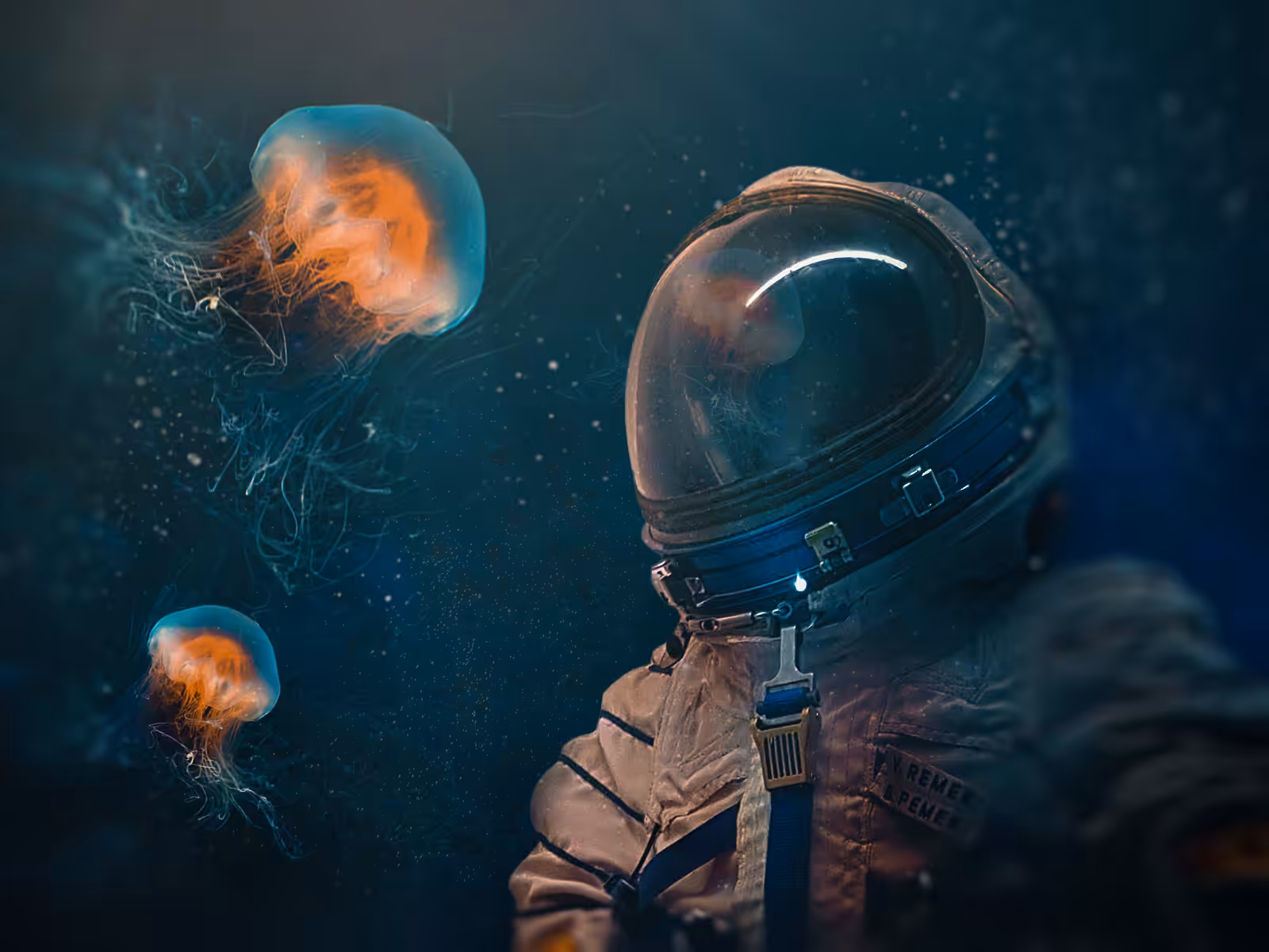 Planet Ocean