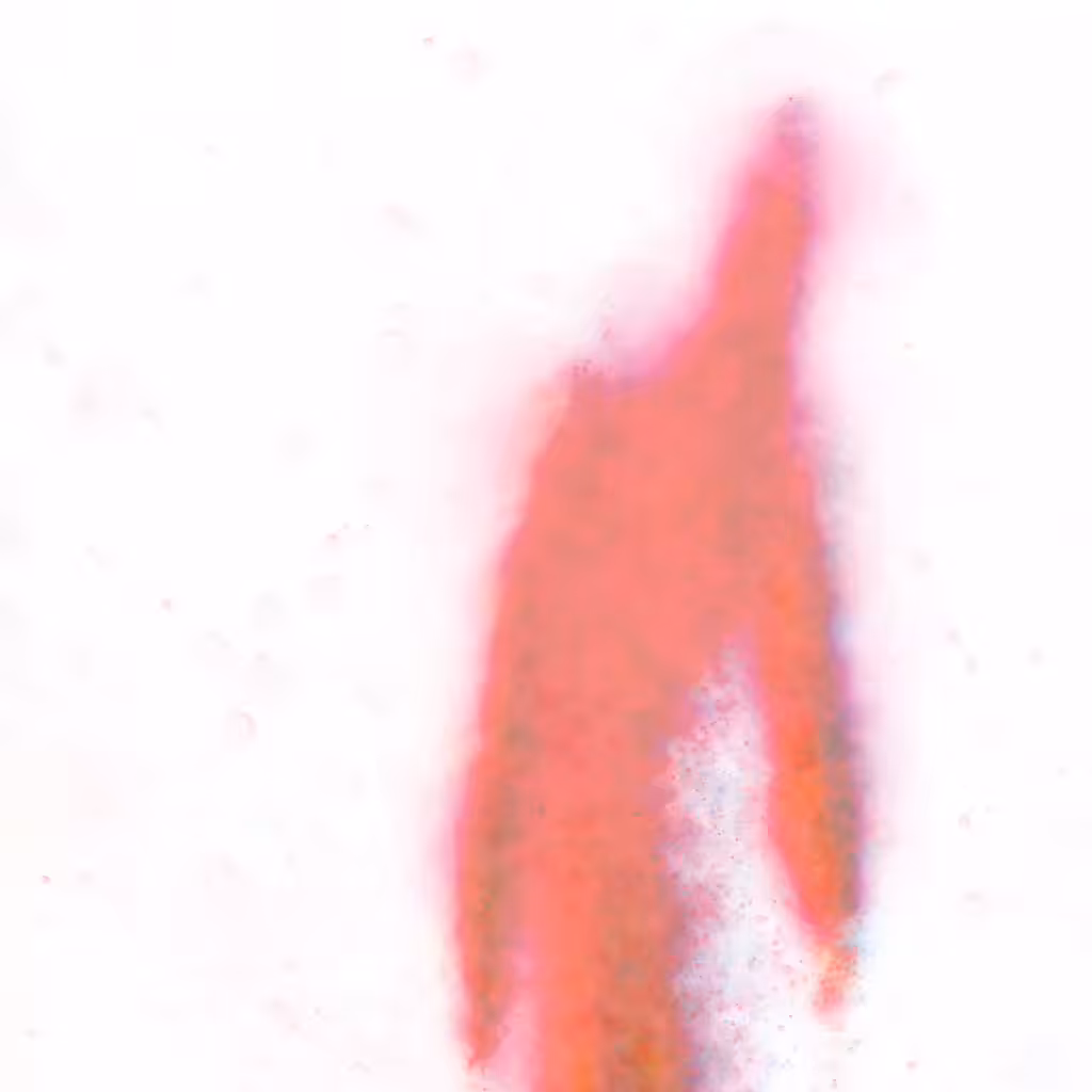 Phantom 79