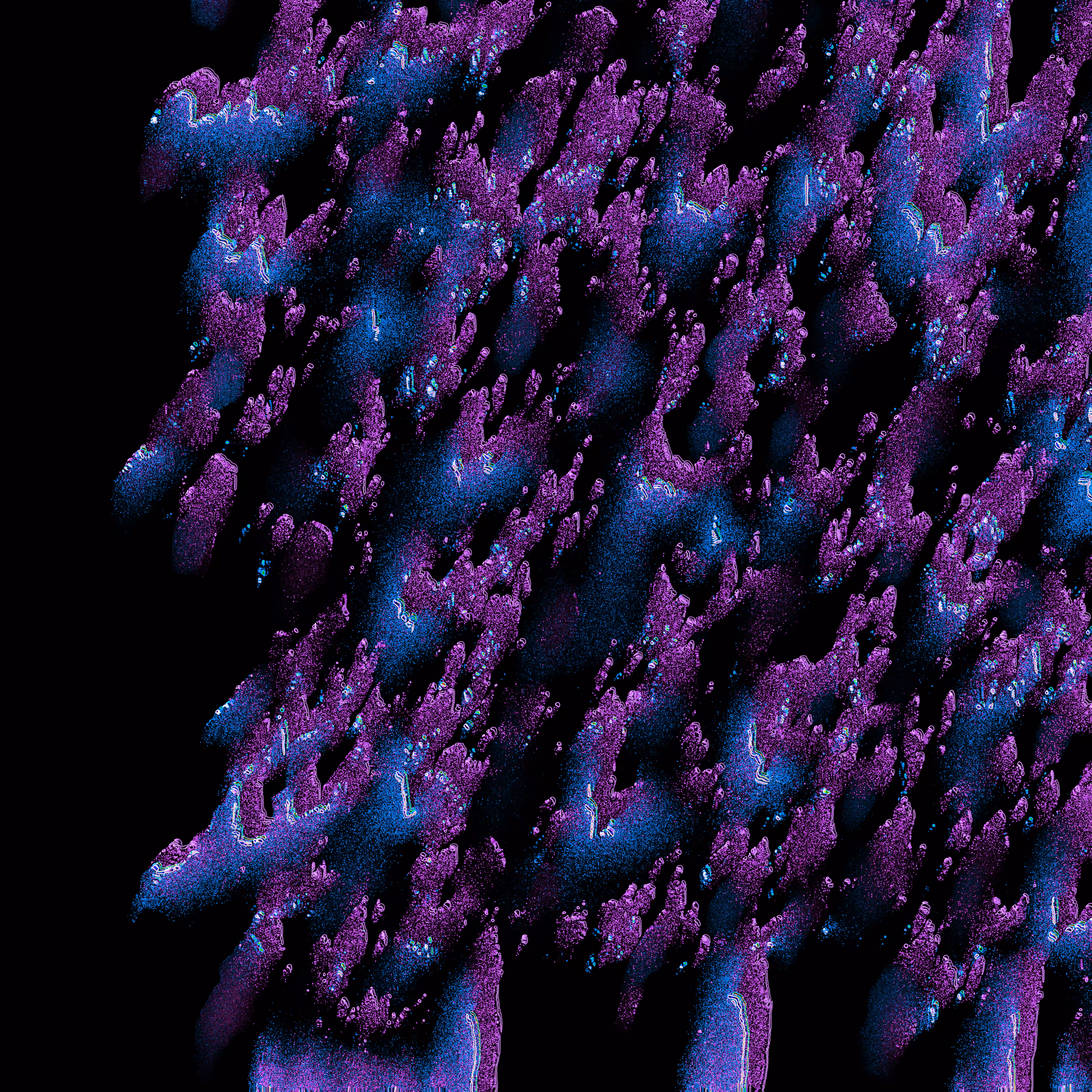 Coral Lichen Violet