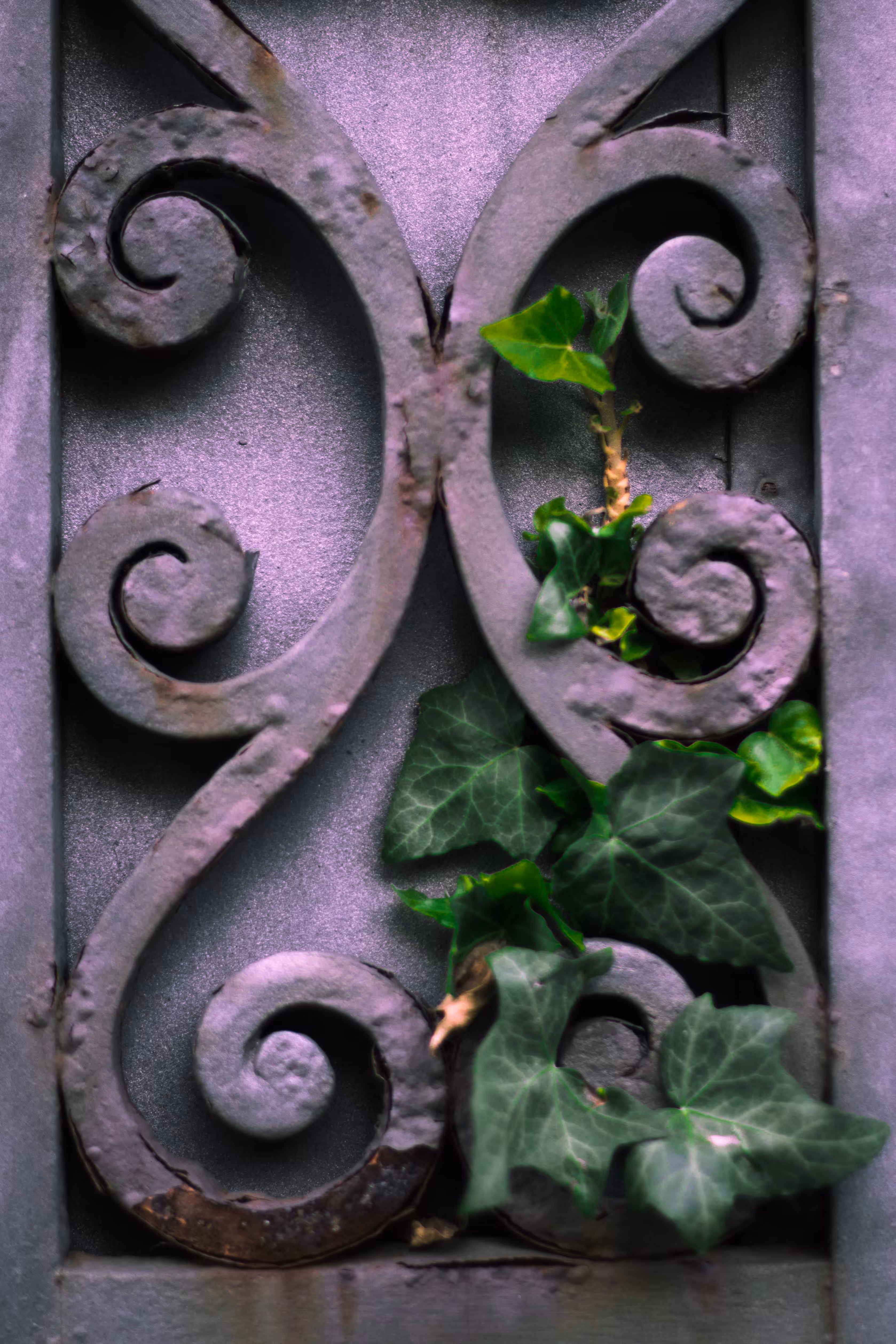 hidden treasures