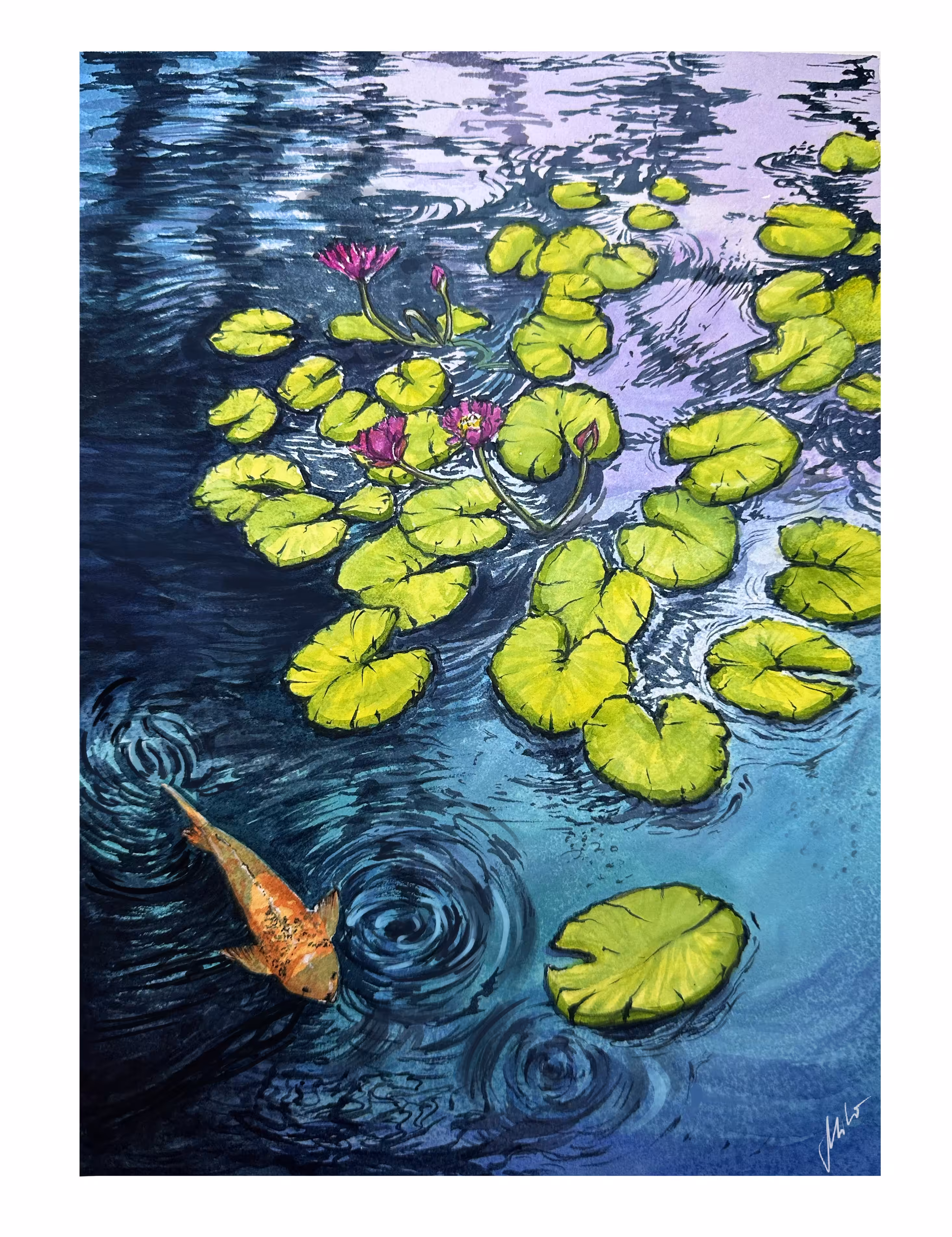 A goldfish 