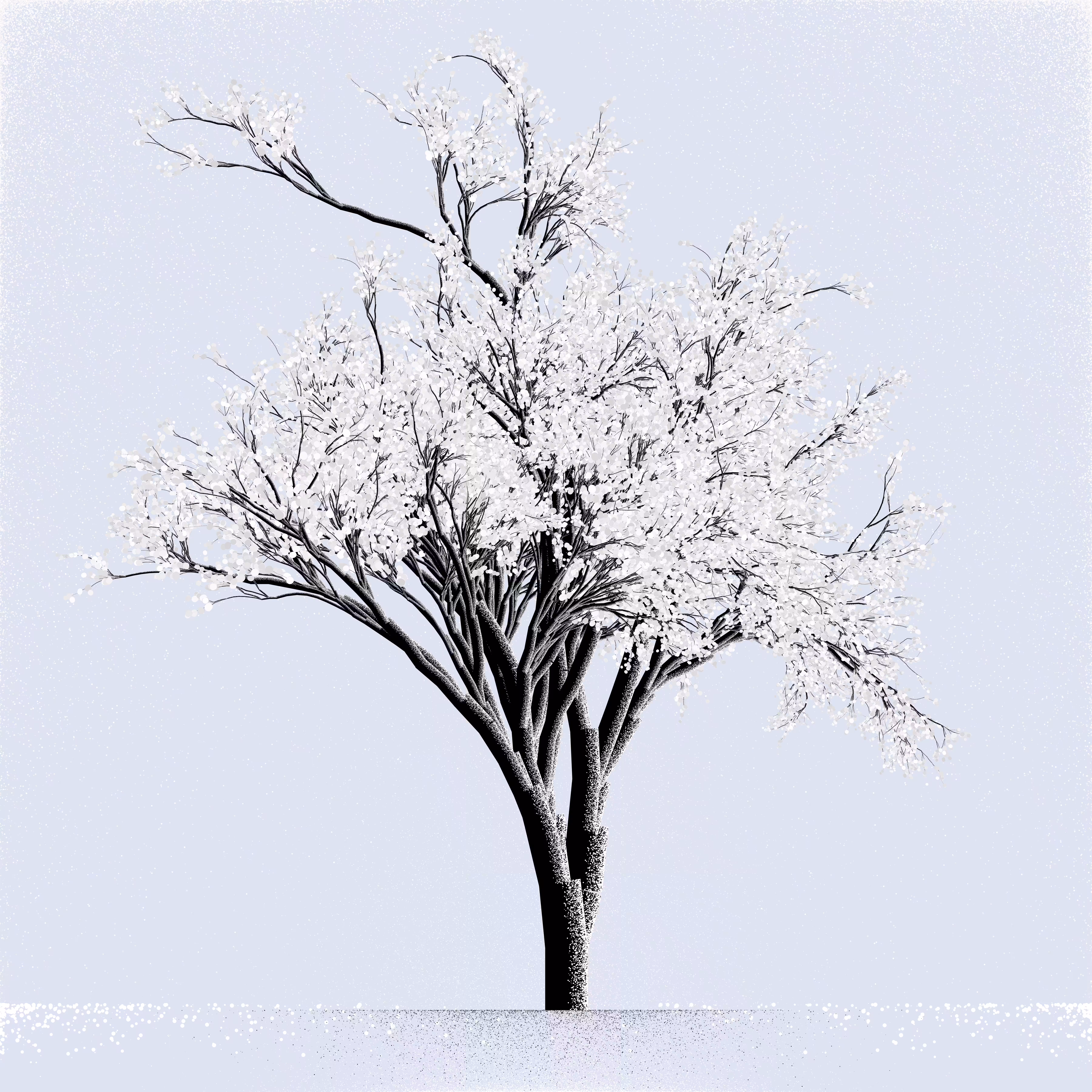 Snow Tree #20