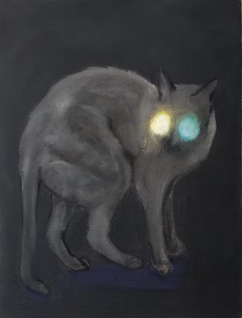 The Victor by Kate Finneran