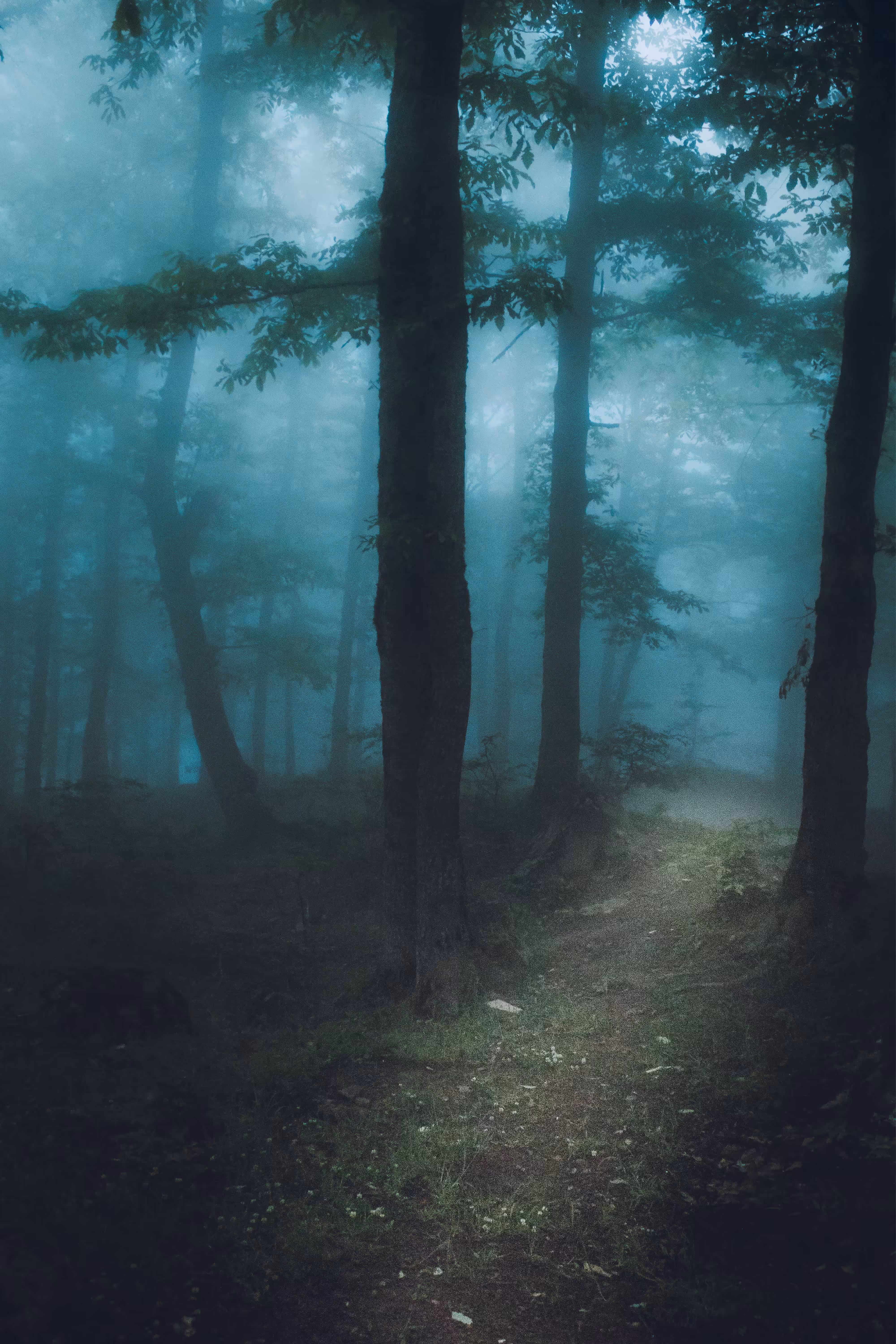 The Path