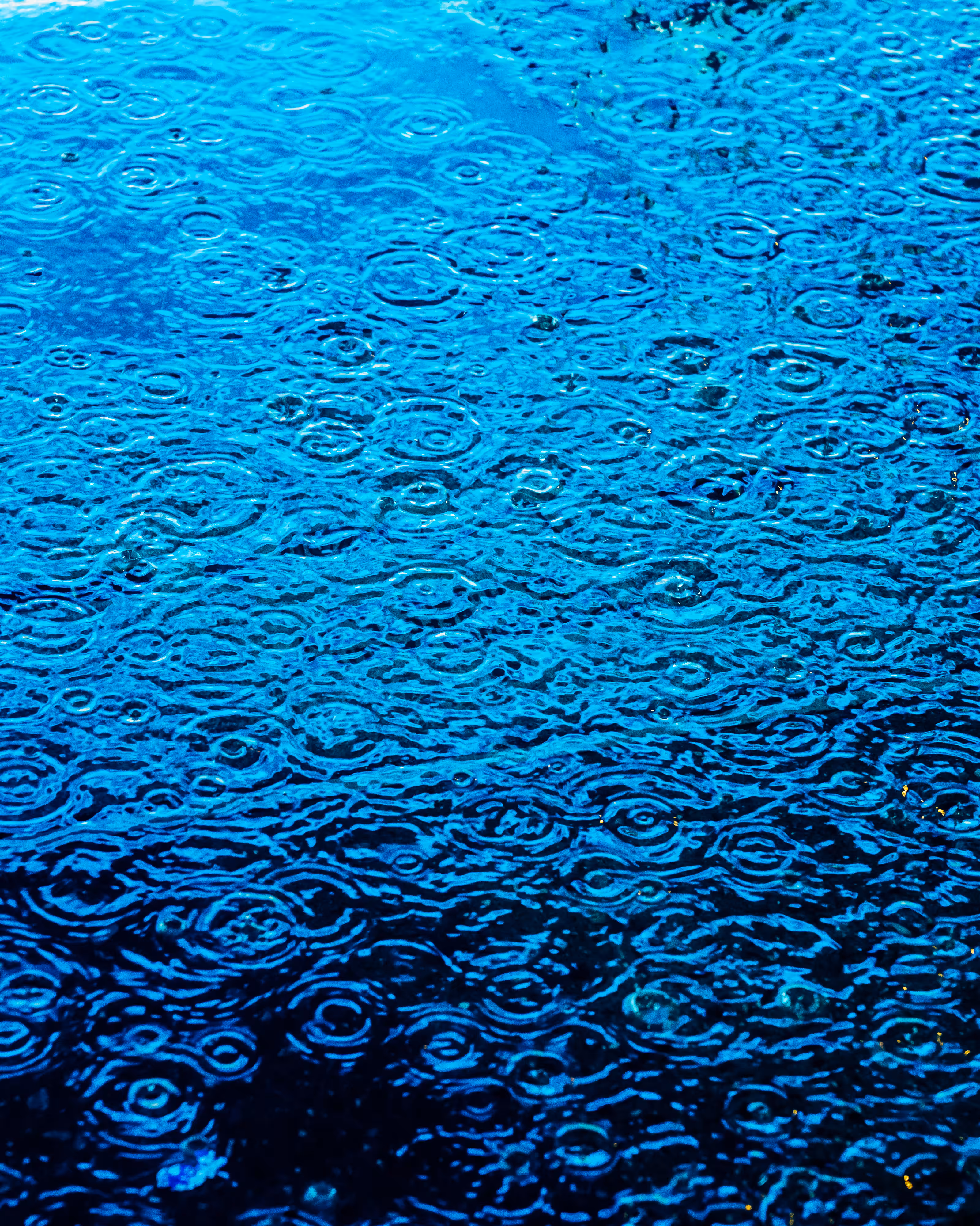DRIP DROP: DRIP #690