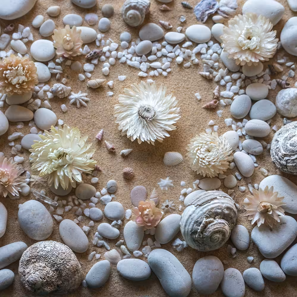 Rockpool in the Sand