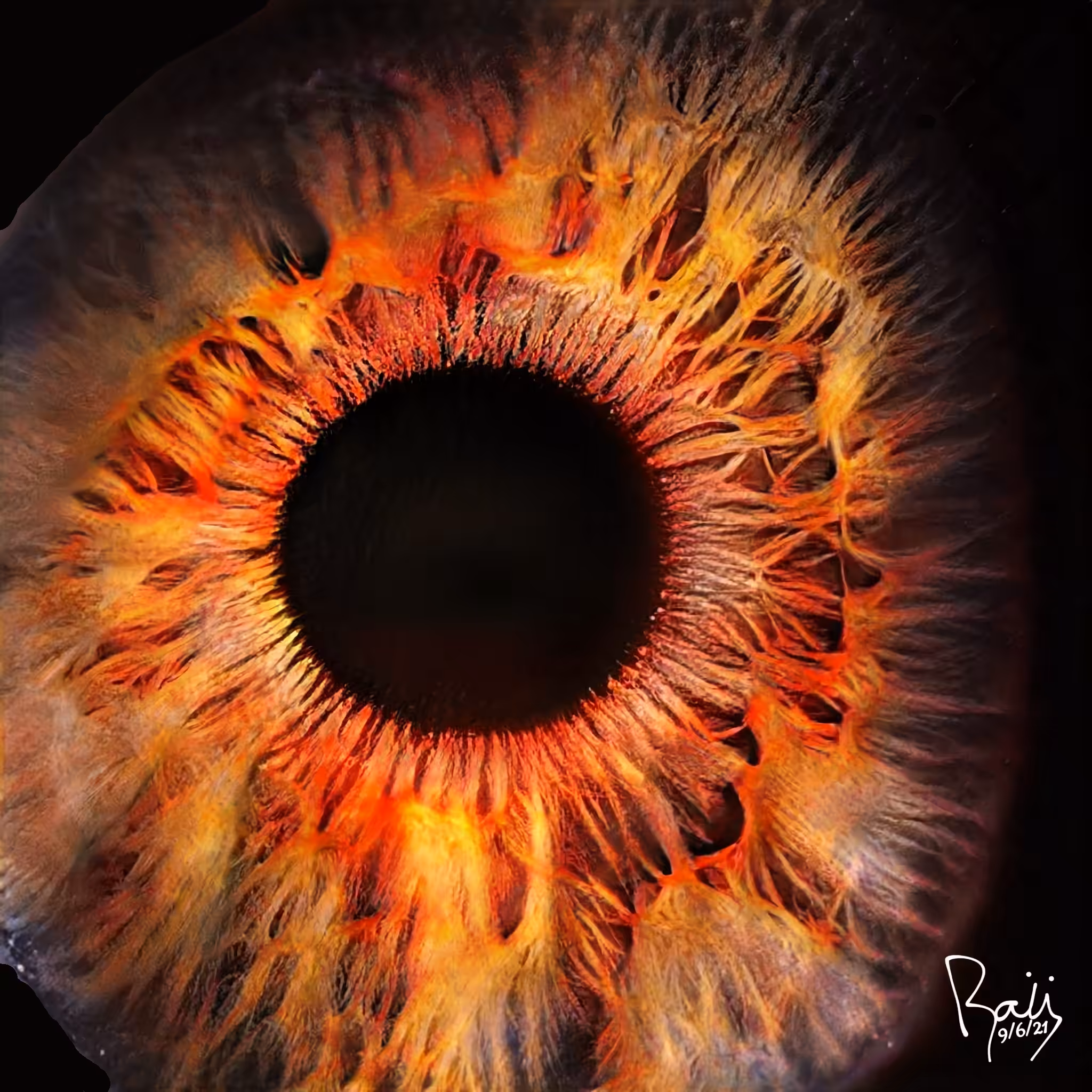 The Fire Inside