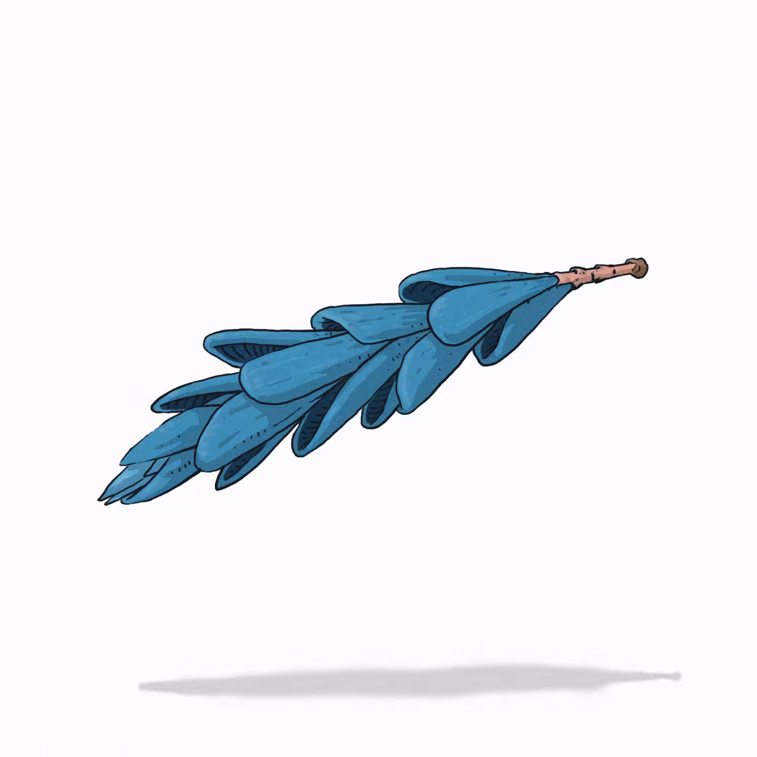 Belona branch