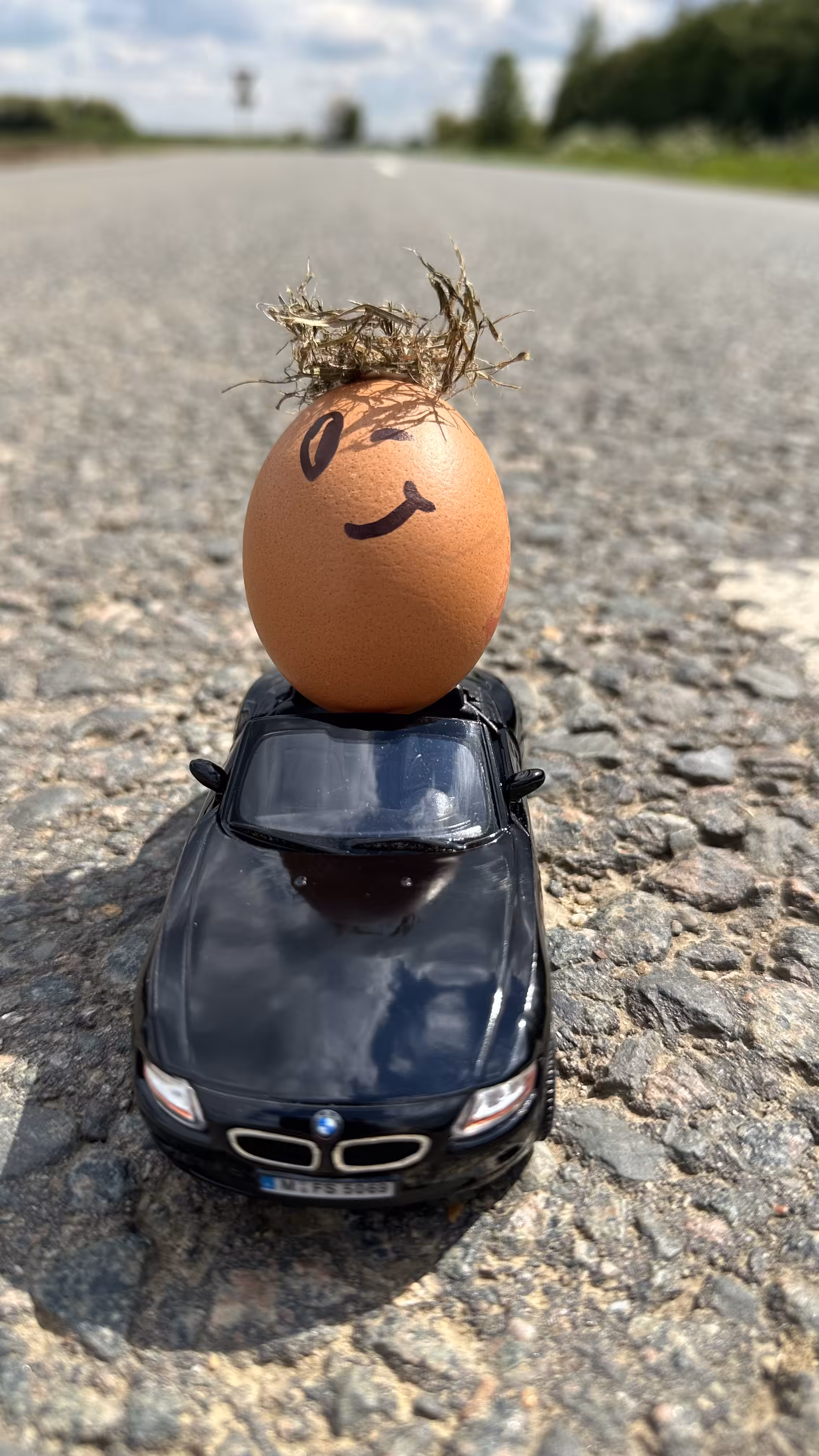 Egg Go “ Cruise” Vol 1 