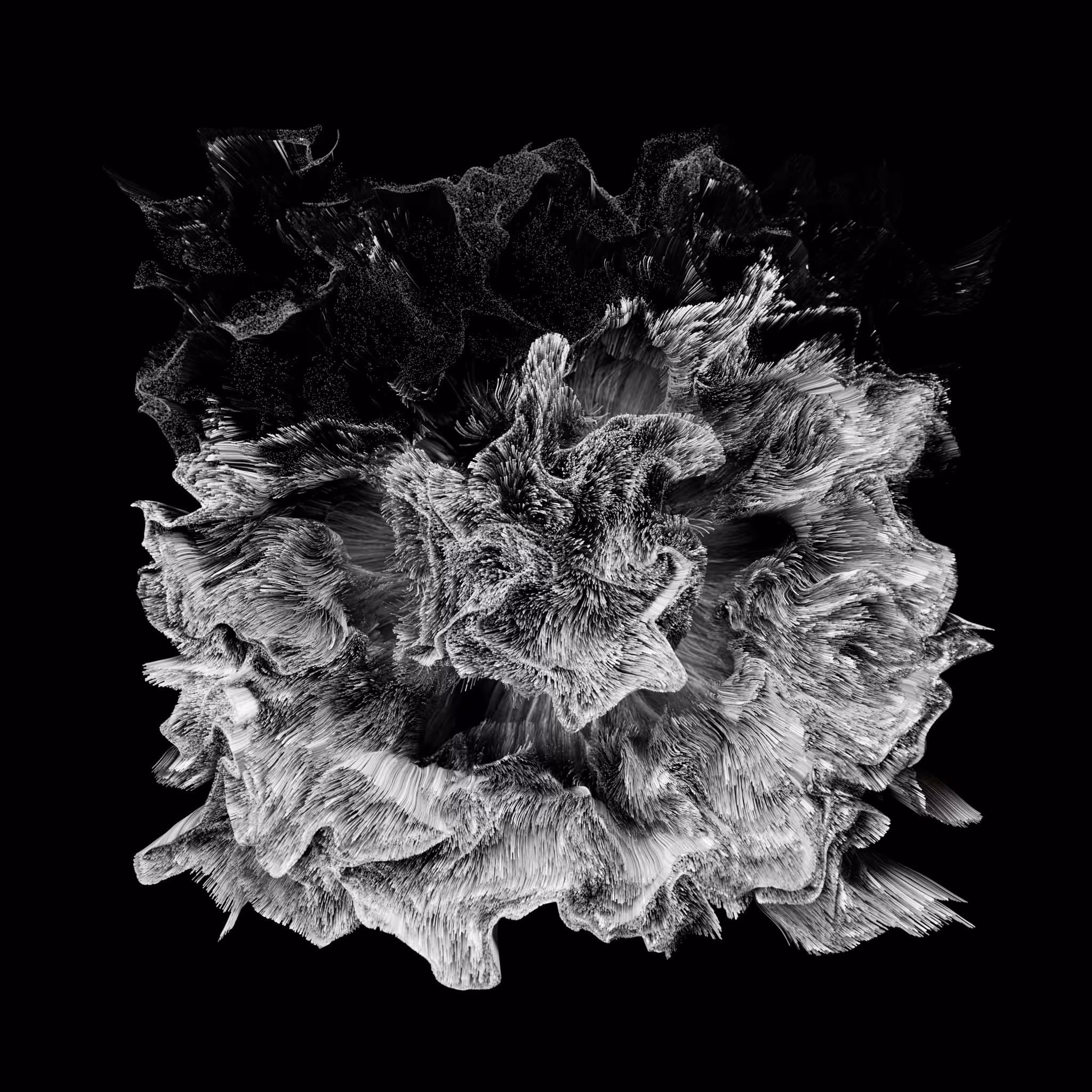 Foam Flower