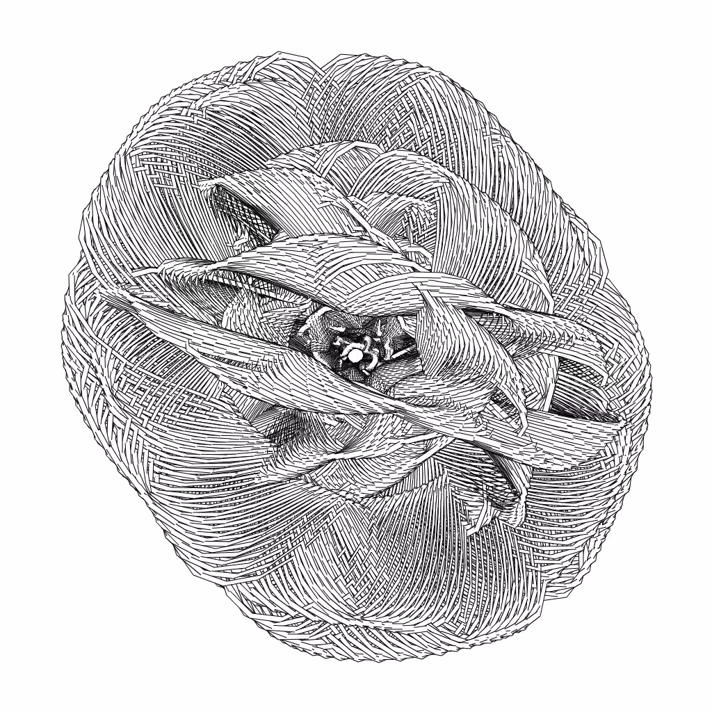 LL21 Entangled (3) #326