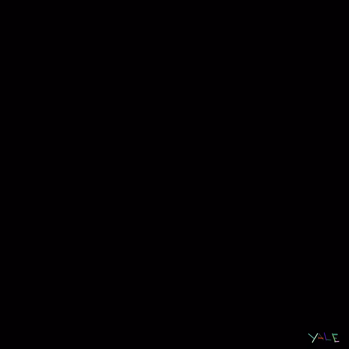 Black #4