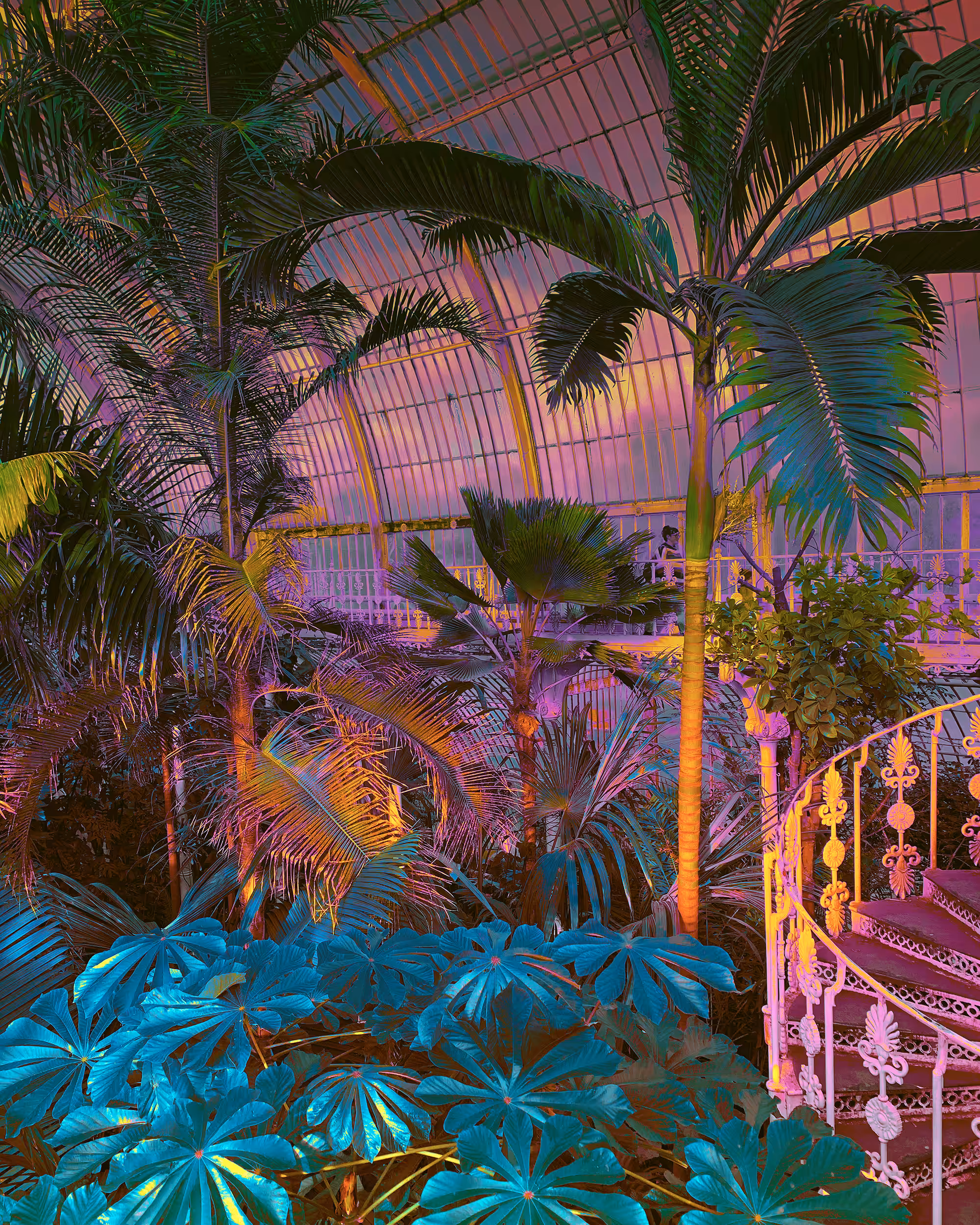 Ember Island Conservatory