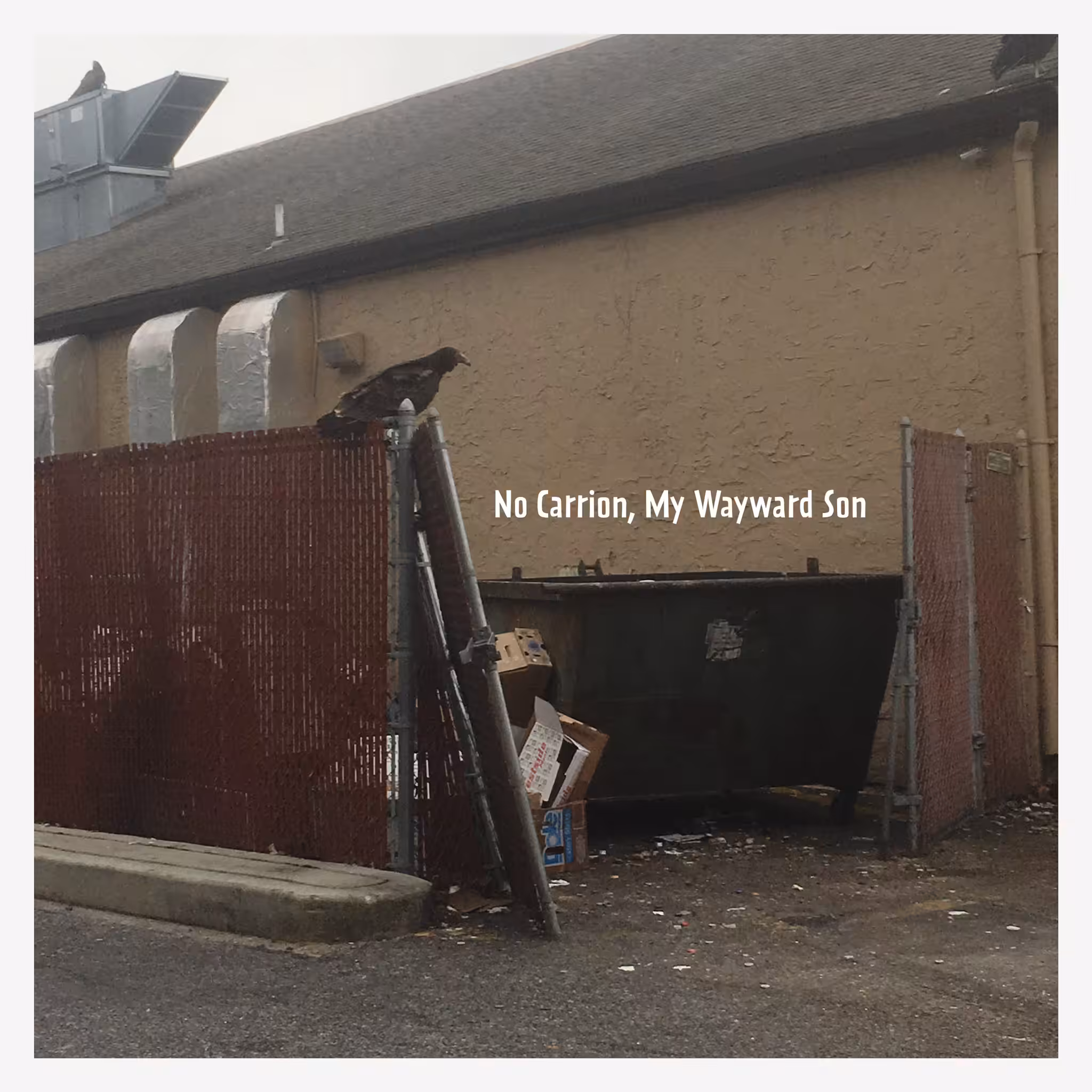 No Carrion, My Wayward Son