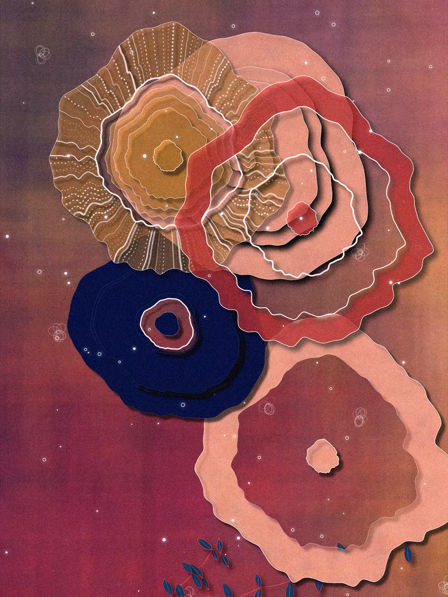Coral #48