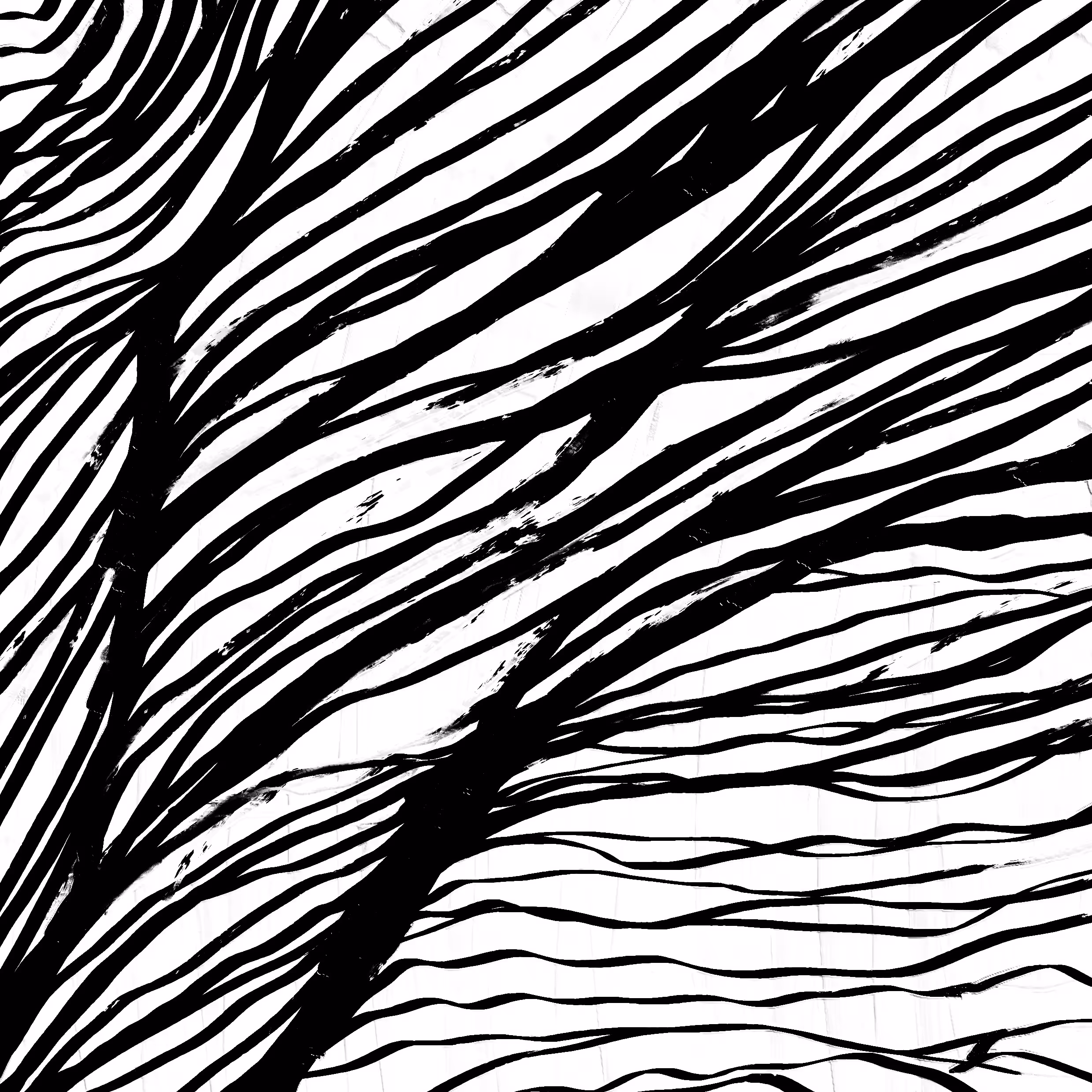 Life Lines