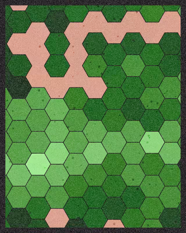 Esagoni #52