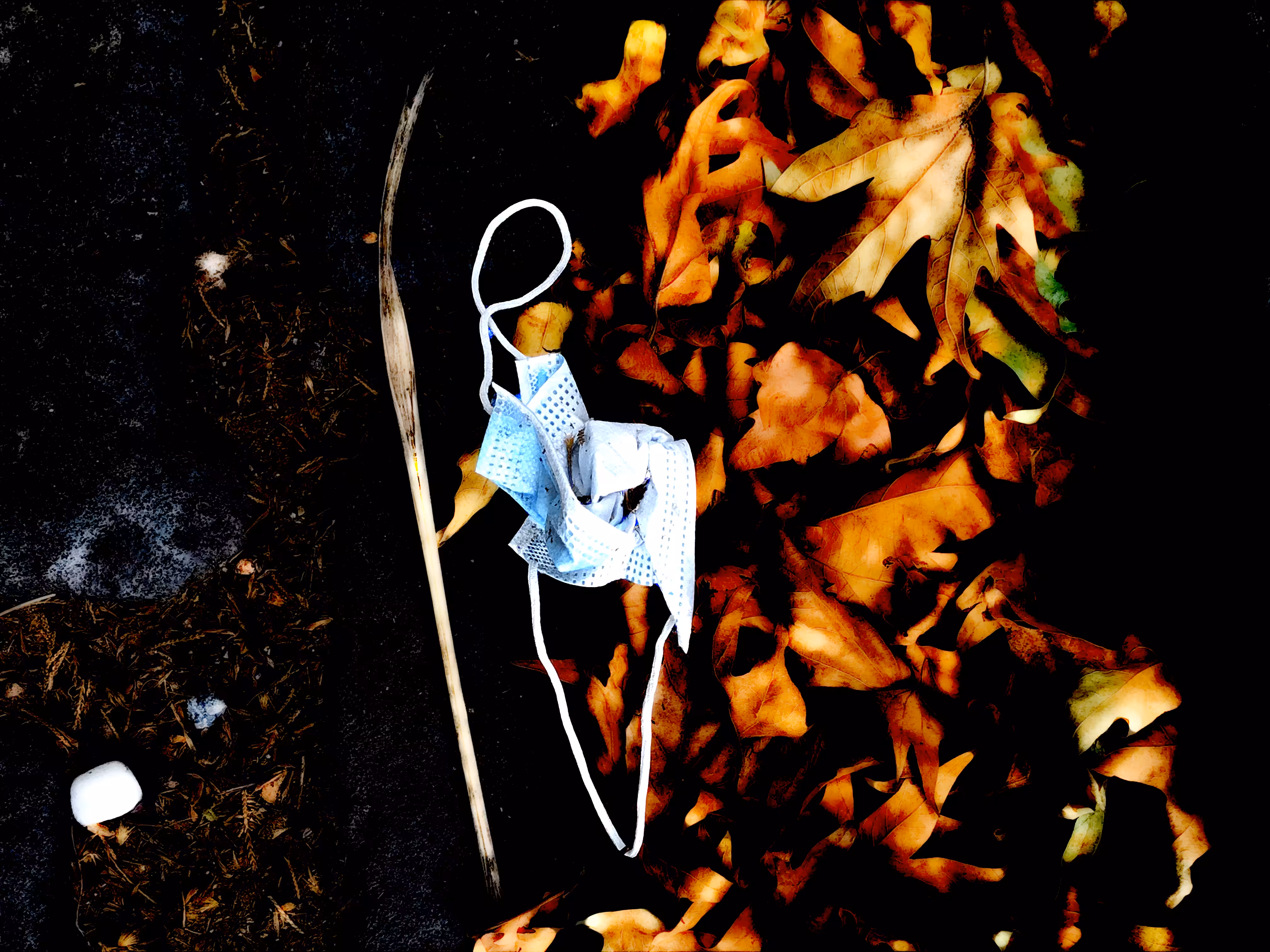 Disposable Masks - 2021-02-04 12.56.35