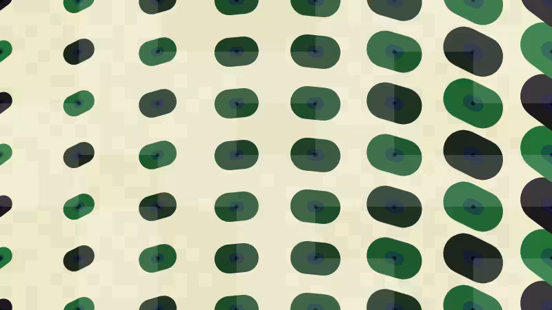 Polka #6