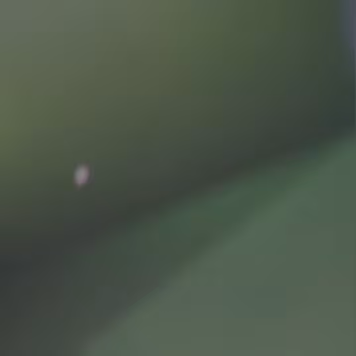 dragthru microworld _lrvd