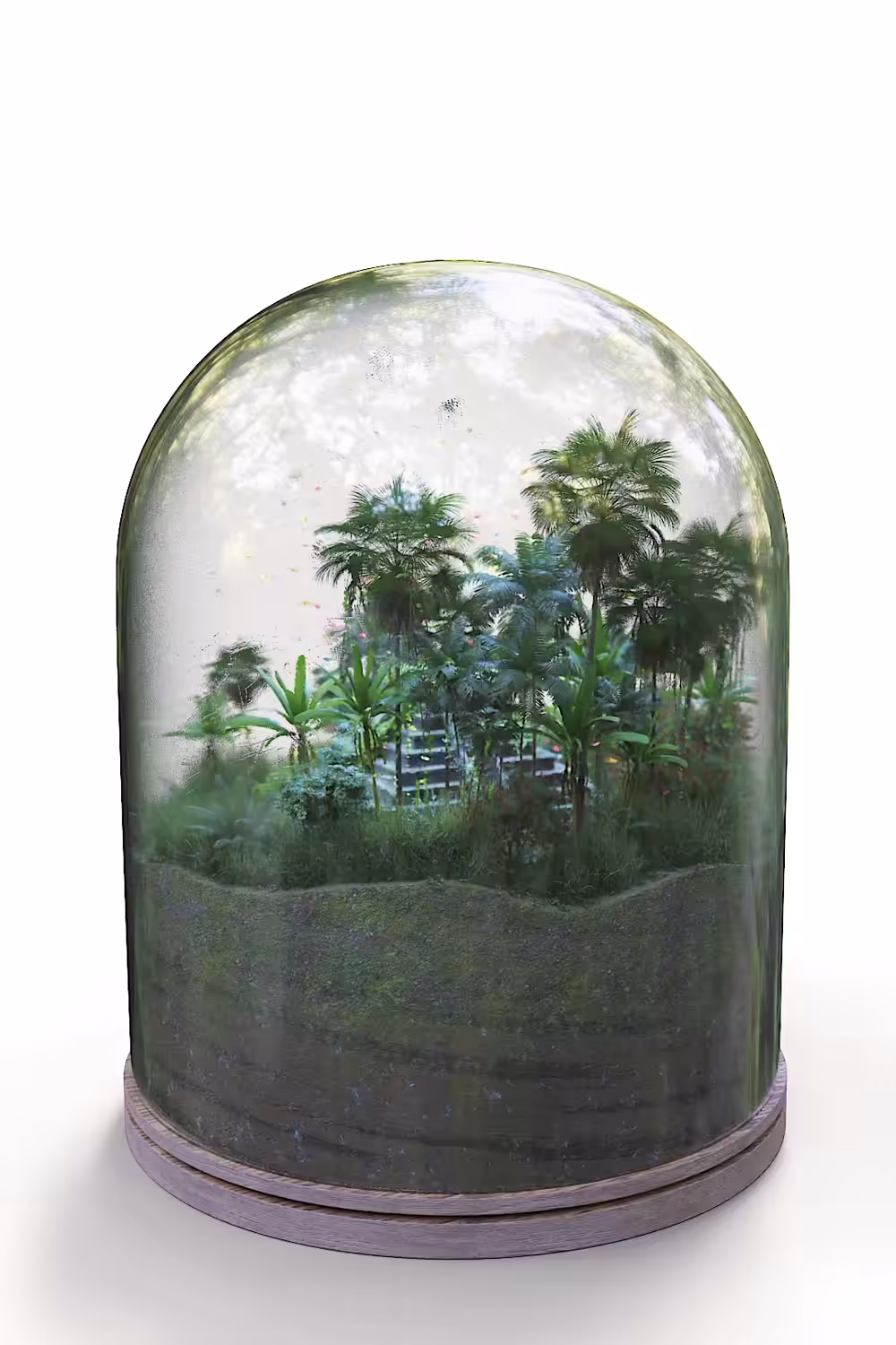 Nature in a Jar V