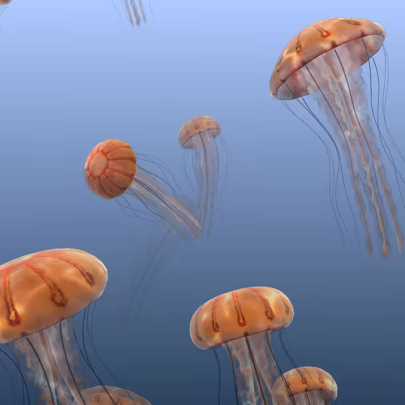 Jellyfish #16