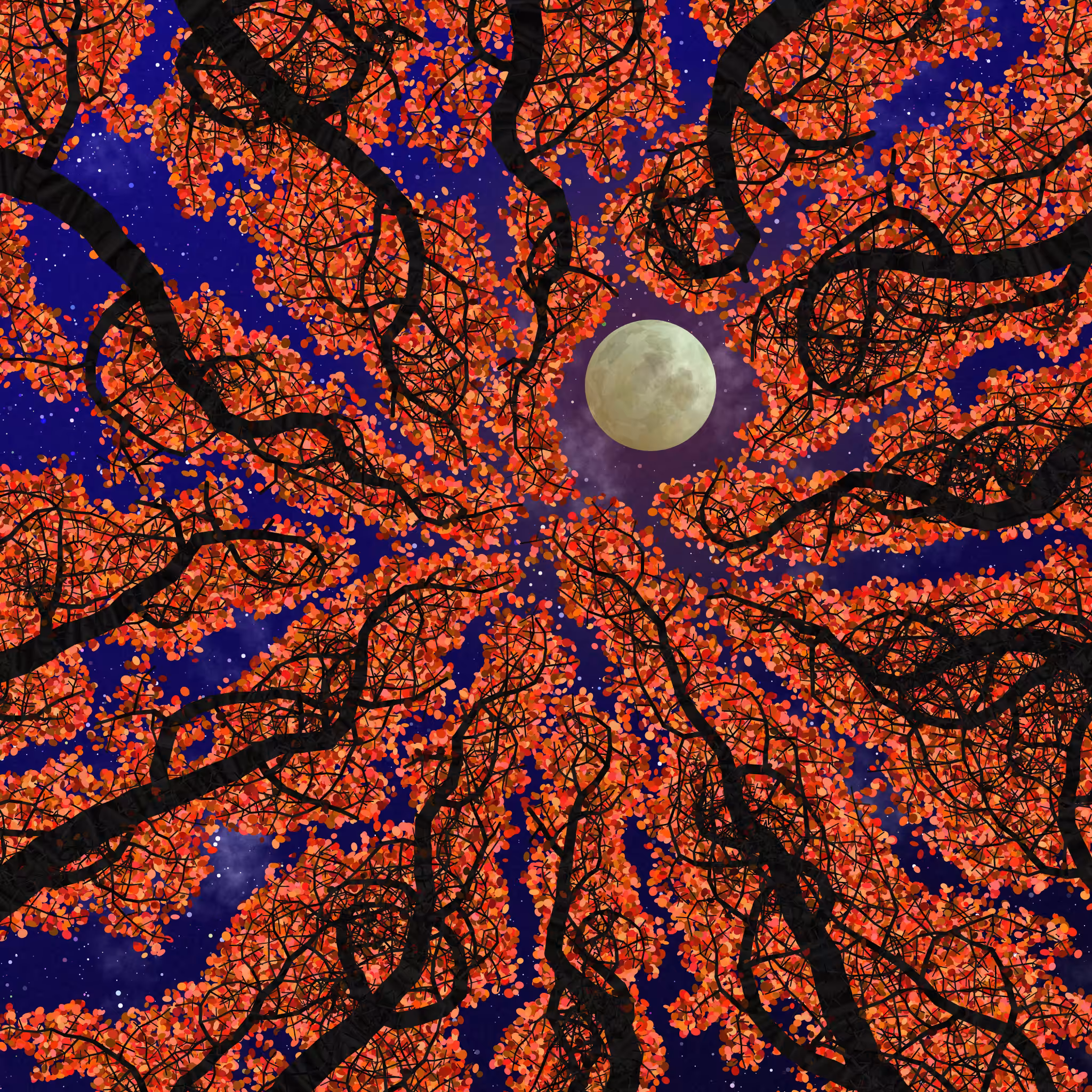 Tree Skyness #126