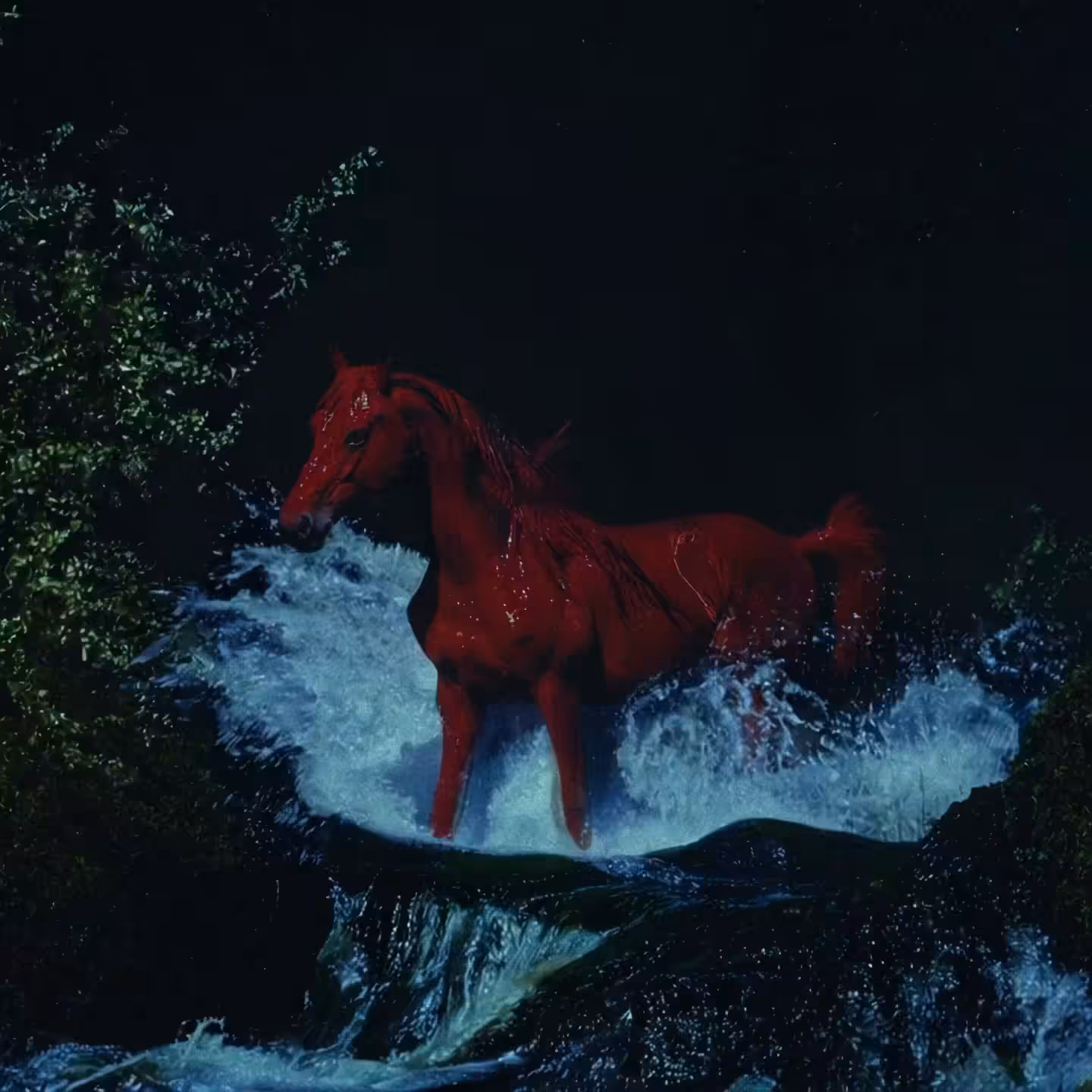 Red Rapid