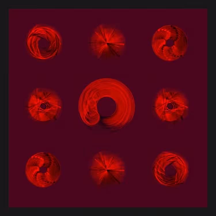Spiny Spinners #18