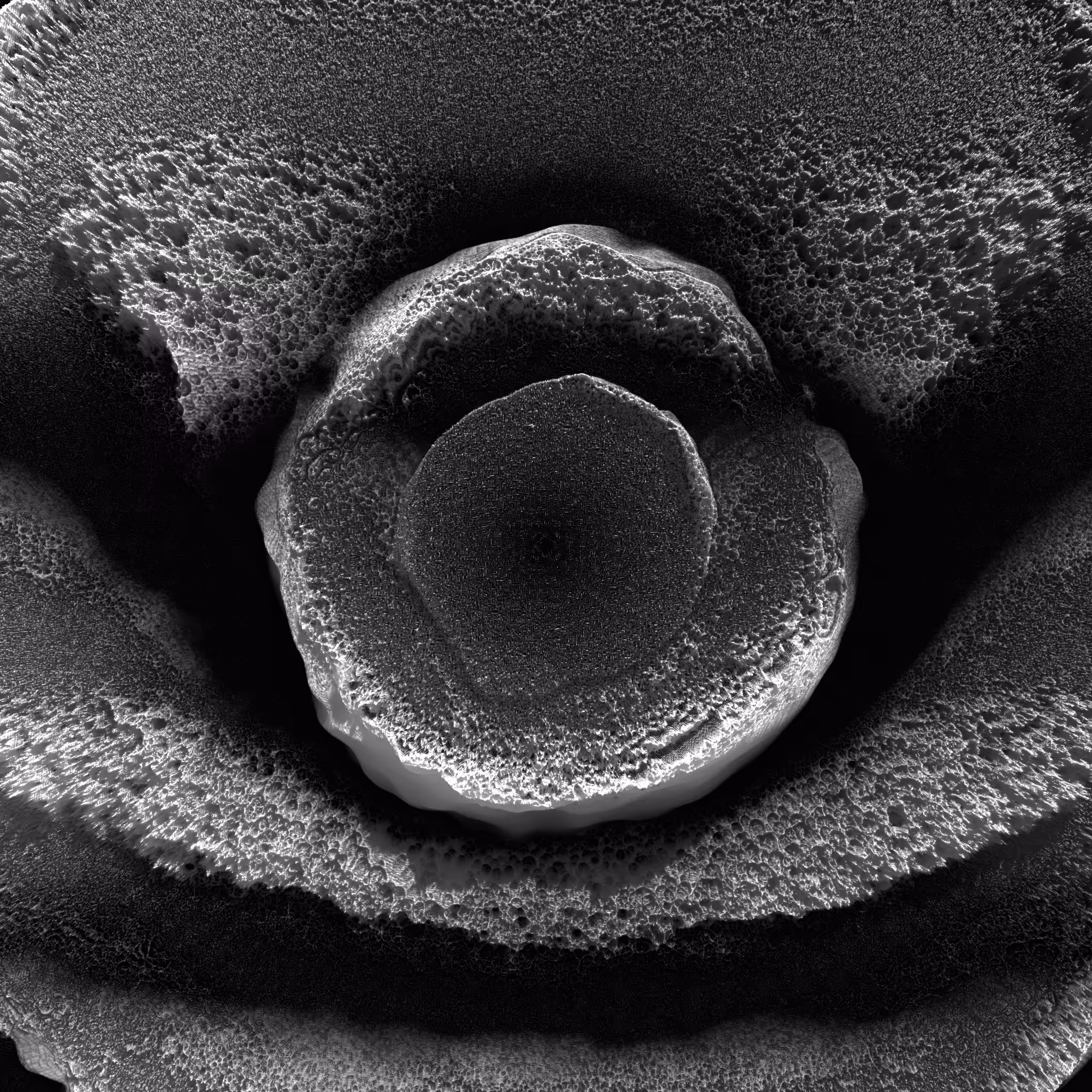 The_process_of_matter_still_image