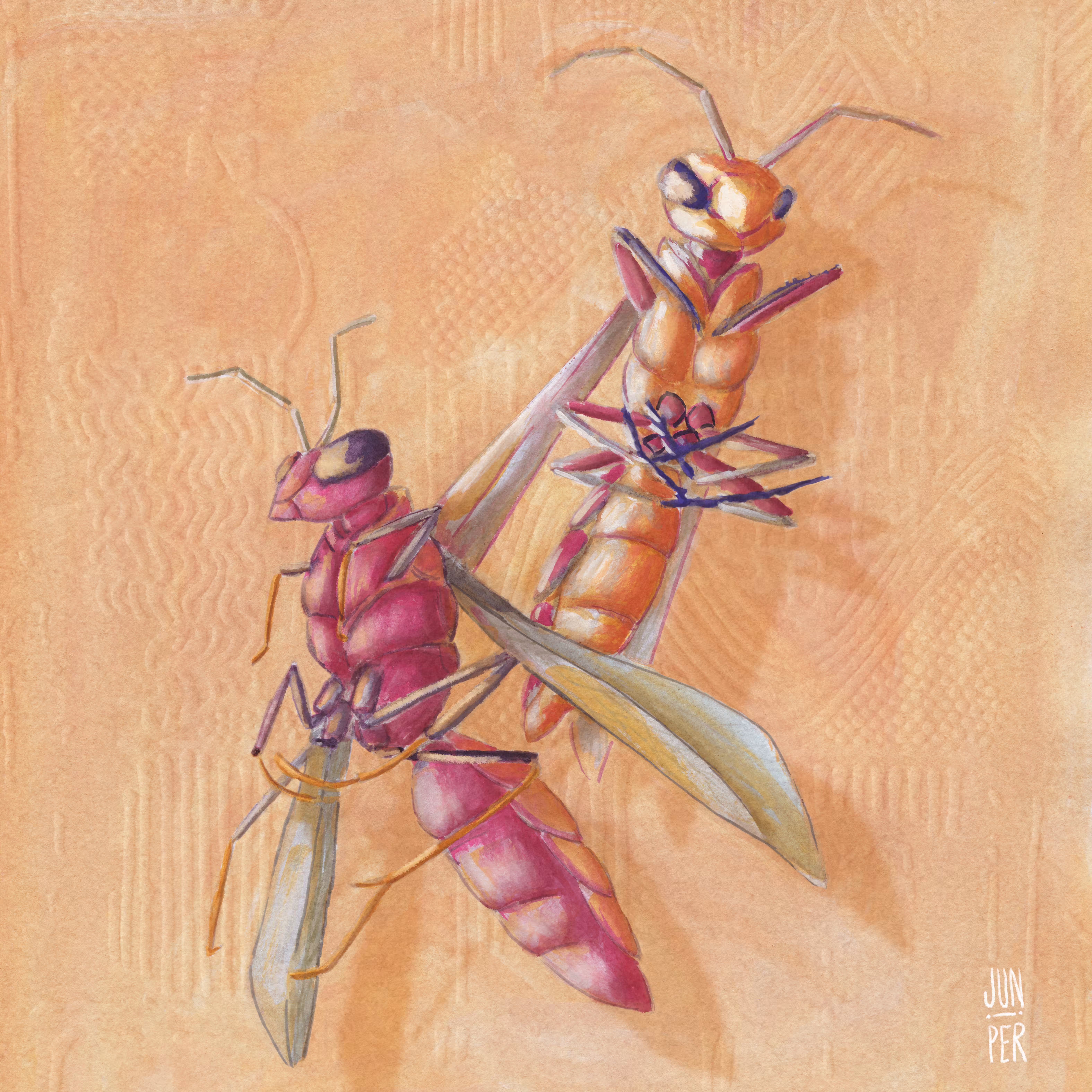 wasps