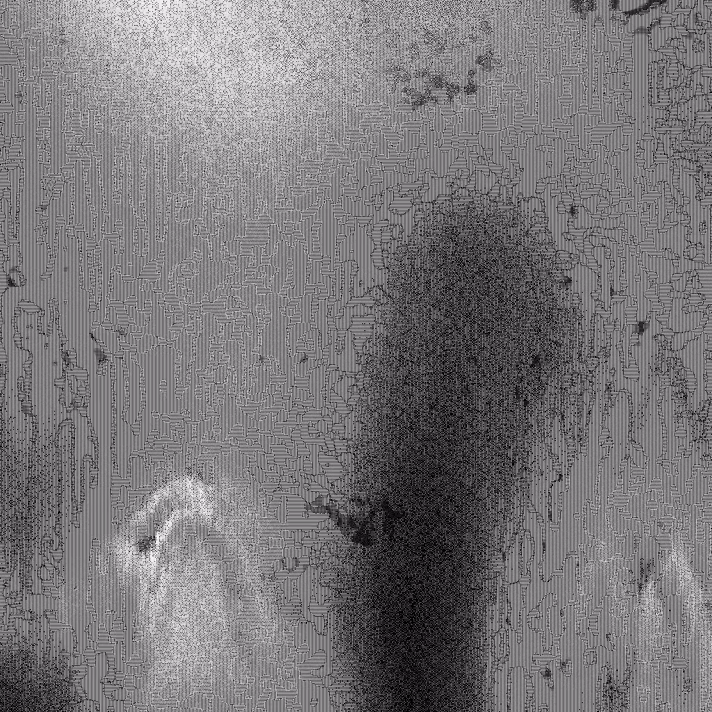 Noise #736 