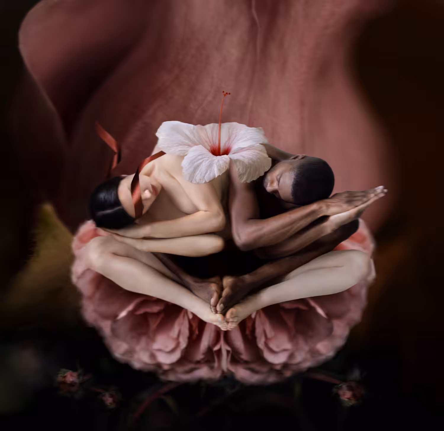 Womb 