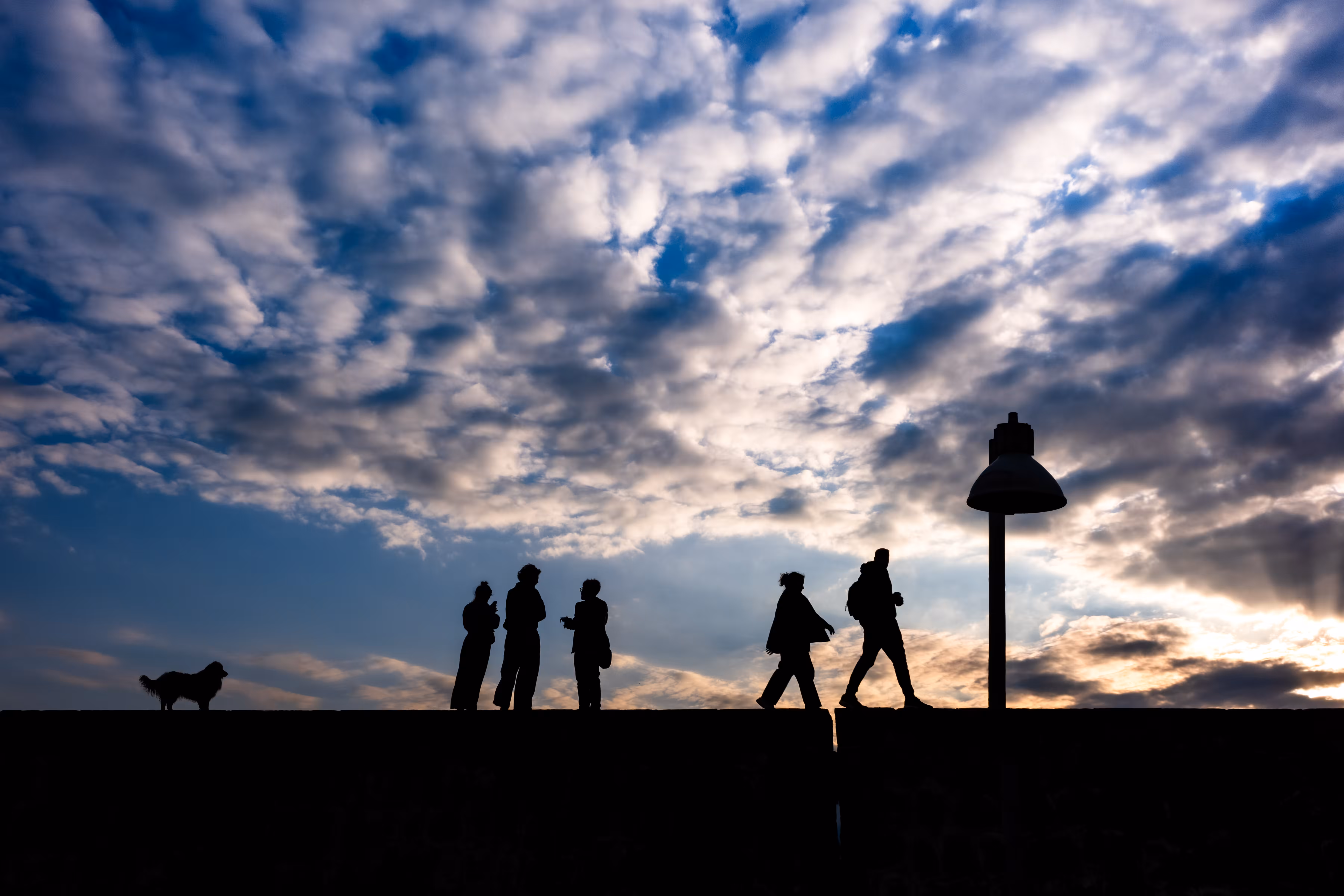Silhouettes